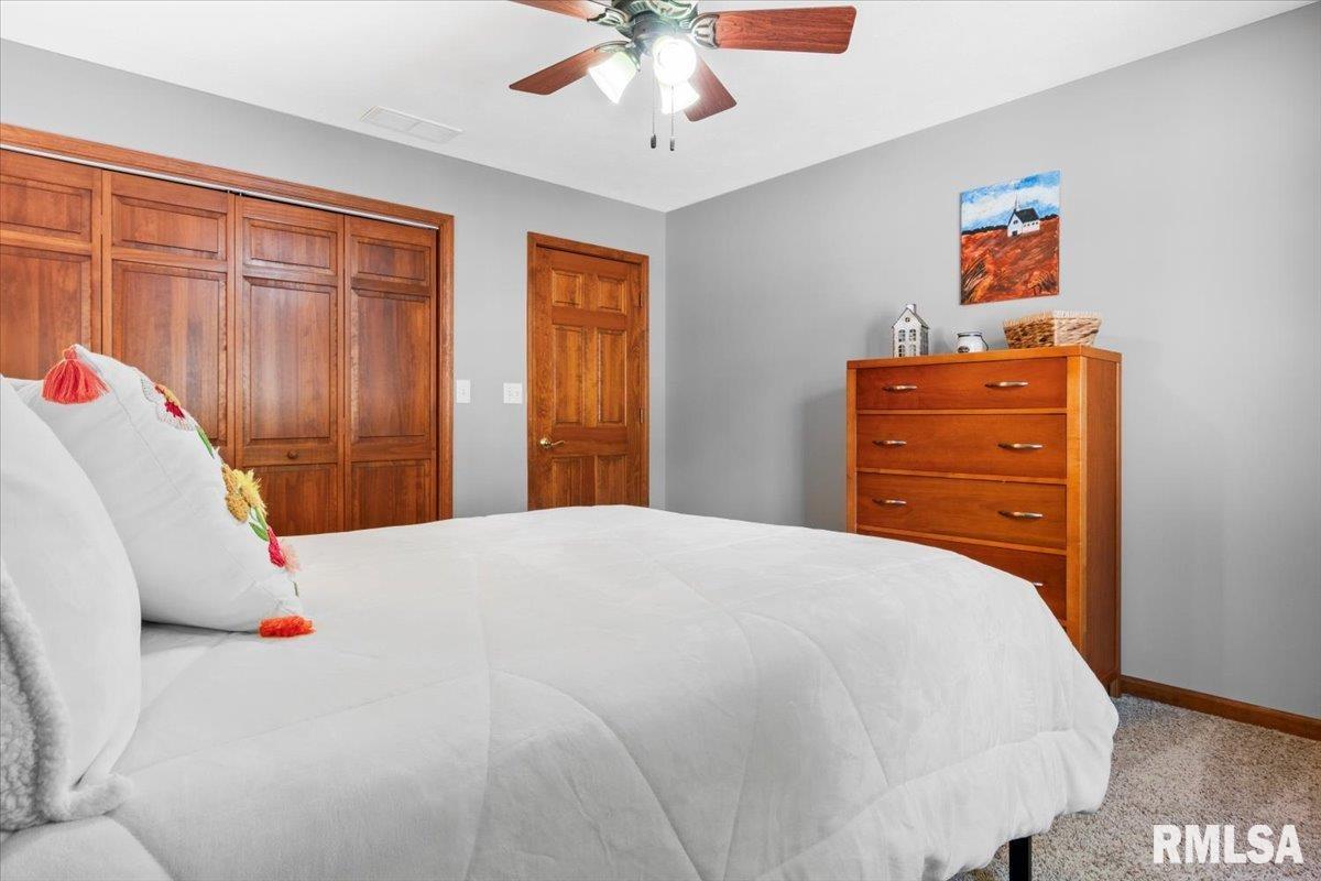 14 Spring Street Riverton, IL 62561 - Photo 24 of 36 Gallery Image 24