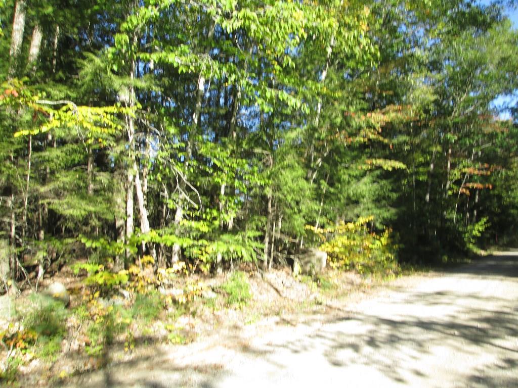 Oa Mansion Road Hollis Center, ME 04042 - Photo 9 of 11 Photo