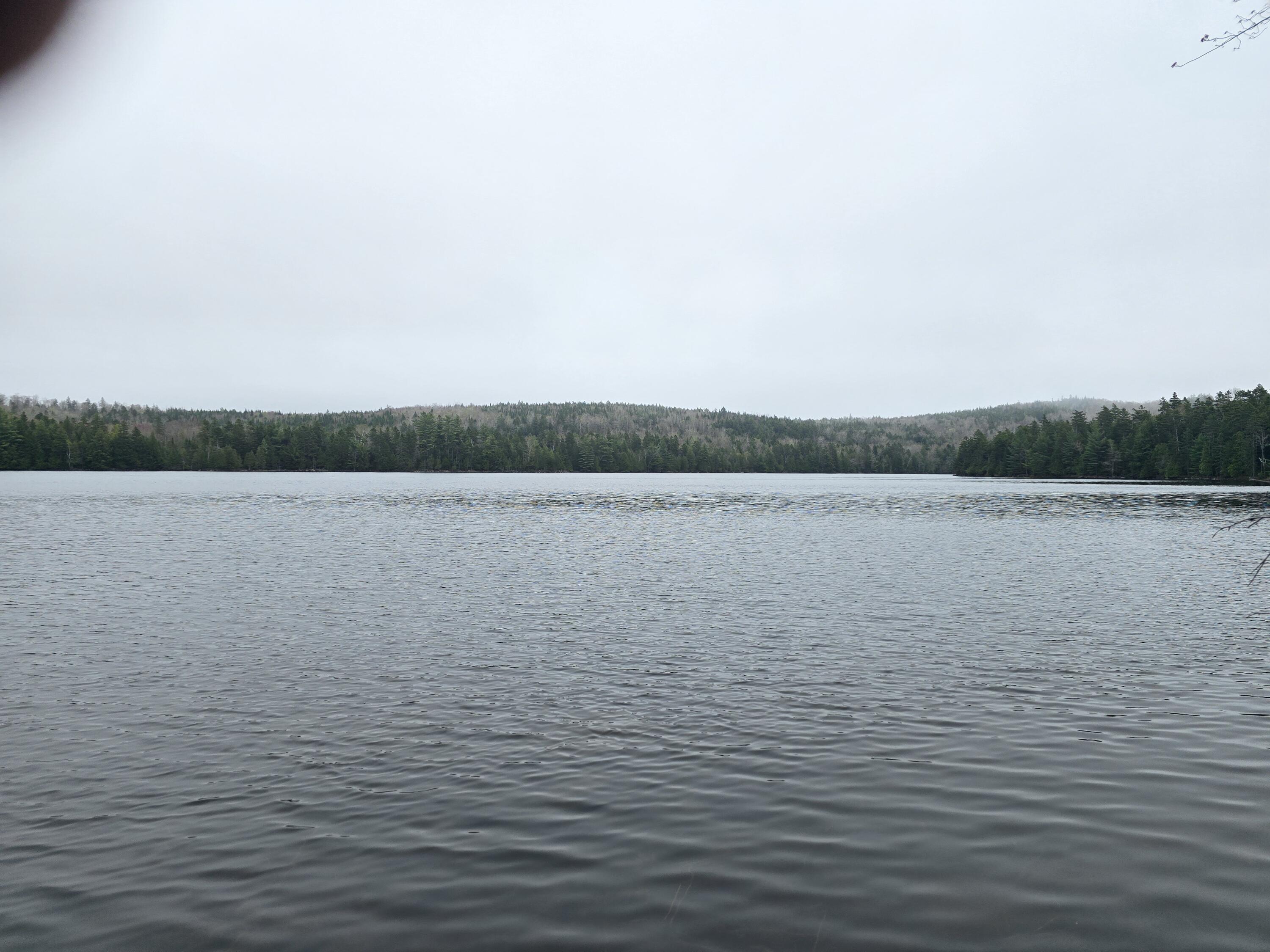 Lot M Howard Lk Road Robbinston, ME 04671 - Photo 2 of 8 20250507_132748