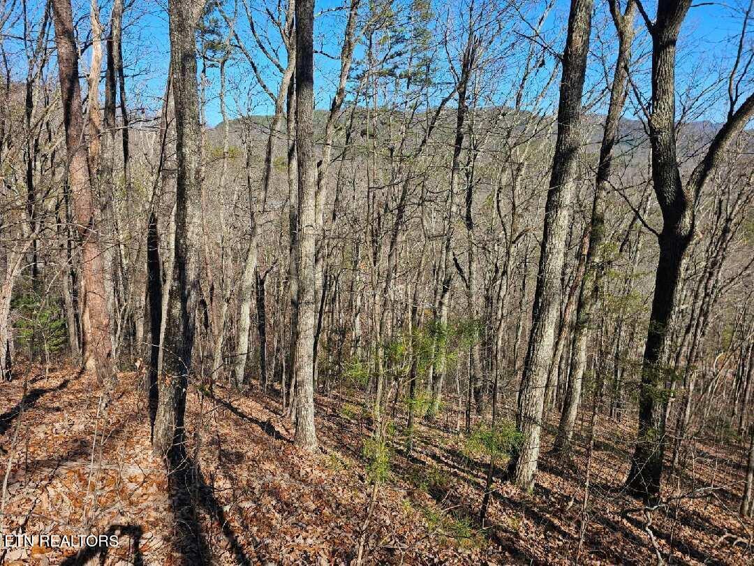 0 Red Rooster Way Sevierville, TN 37876 - Photo 4 of 10 Red Rooster Way 4 a