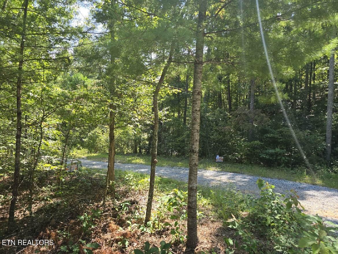 0 Red Rooster Way Sevierville, TN 37876 - Photo 7 of 10 Red Rooster Way Photo use 4