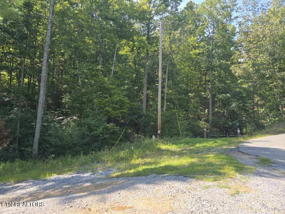 0 Red Rooster Way Sevierville, TN 37876 - Photo 8 of 10 Red Rooster Way Photo use 3