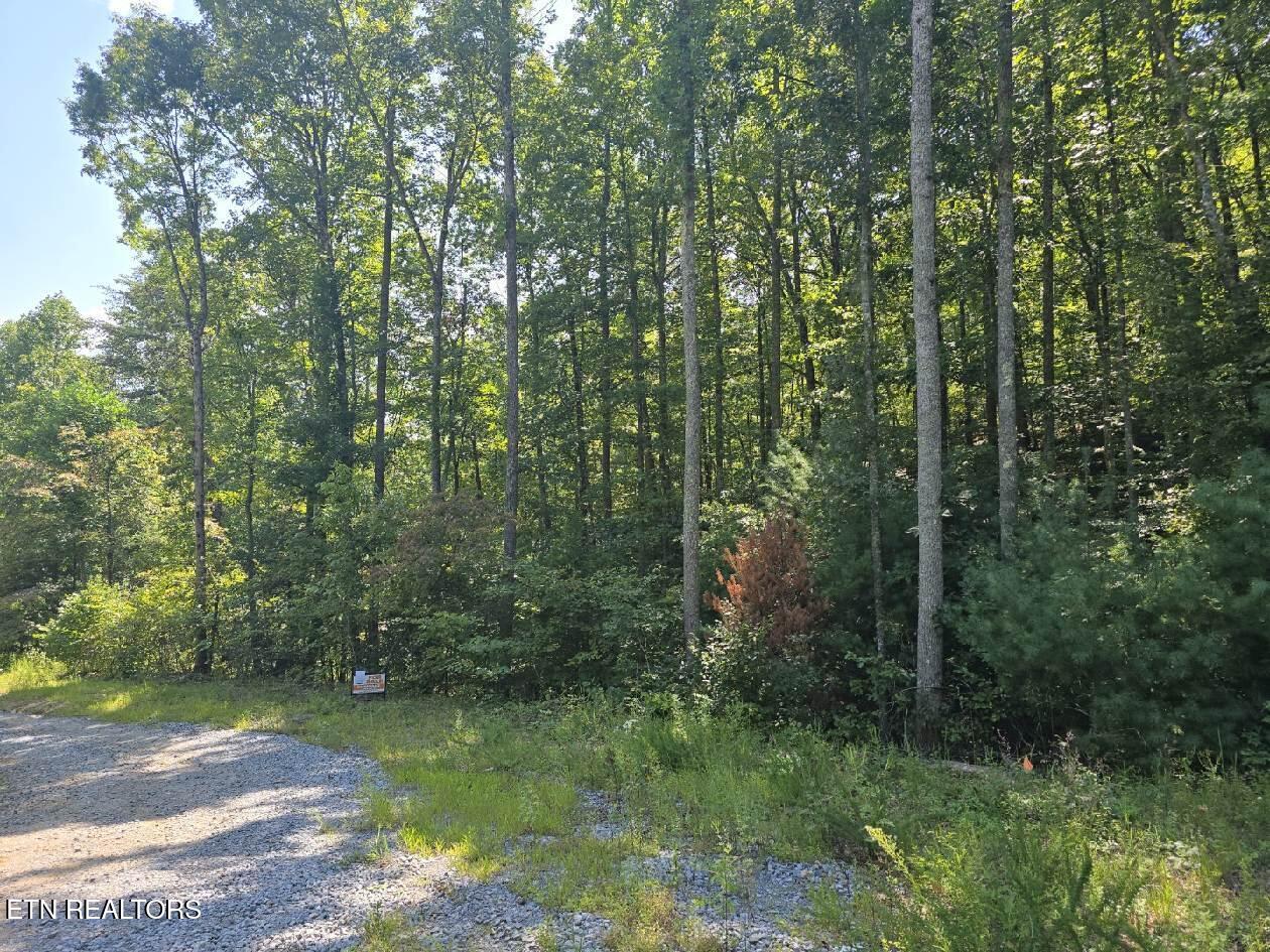 0 Red Rooster Way Sevierville, TN 37876 - Photo 9 of 10 Red Rooster Way Photo use 2