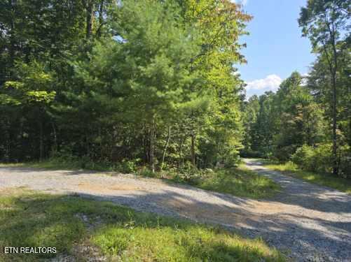 0 Red Rooster Way Sevierville, TN 37876 - Photo 10 of 10 Red Rooster Way Photo use 6
