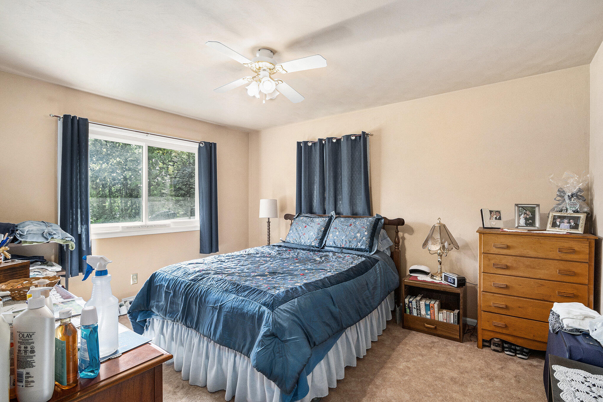 12372 Bidelman Road Three Rivers, MI 49093 - Photo 16 of 35 015_12372bidelman_5_126