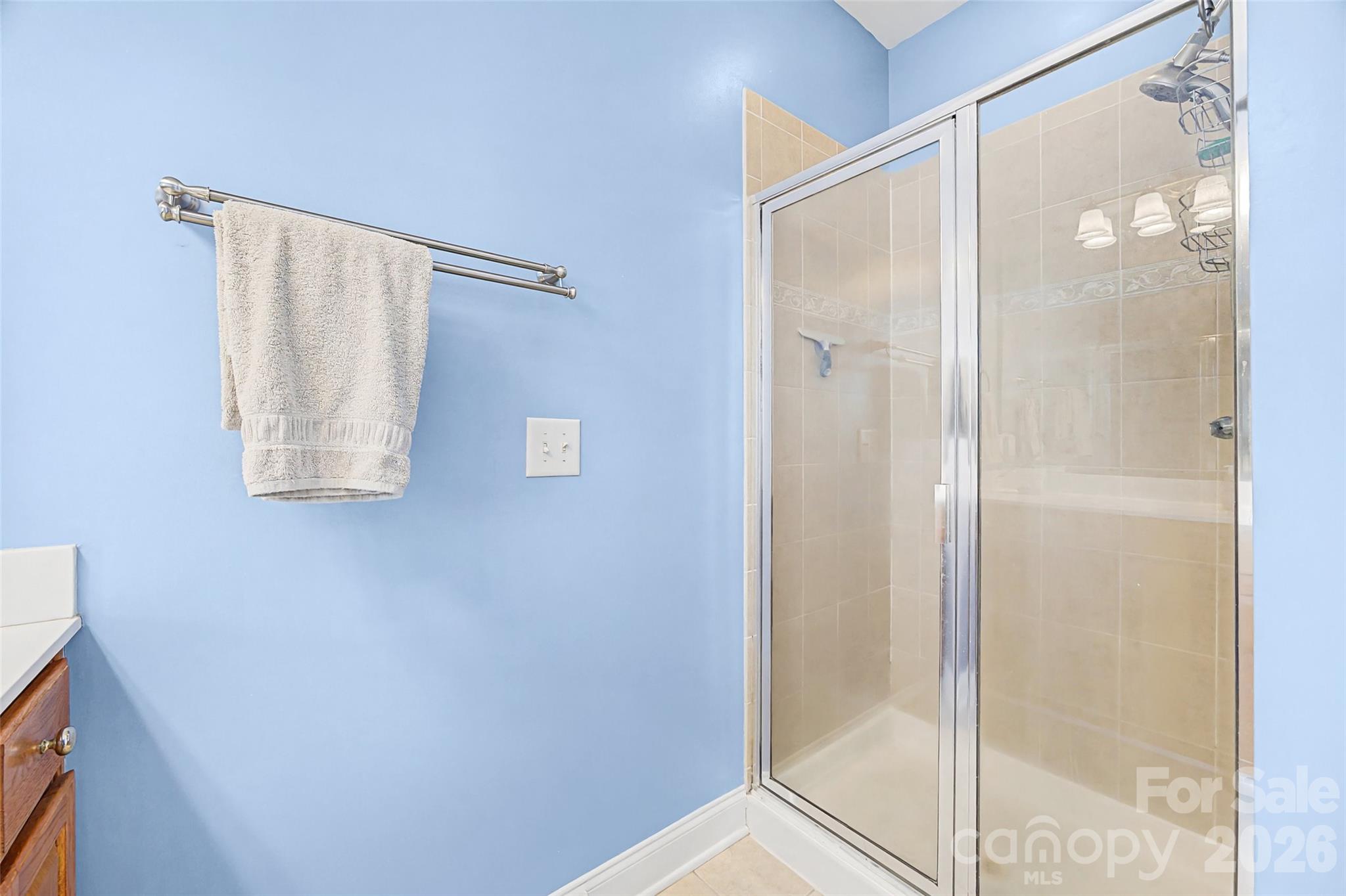 1044 Hunters Run Drive Tega Cay, SC 29708 - Photo 15 of 17