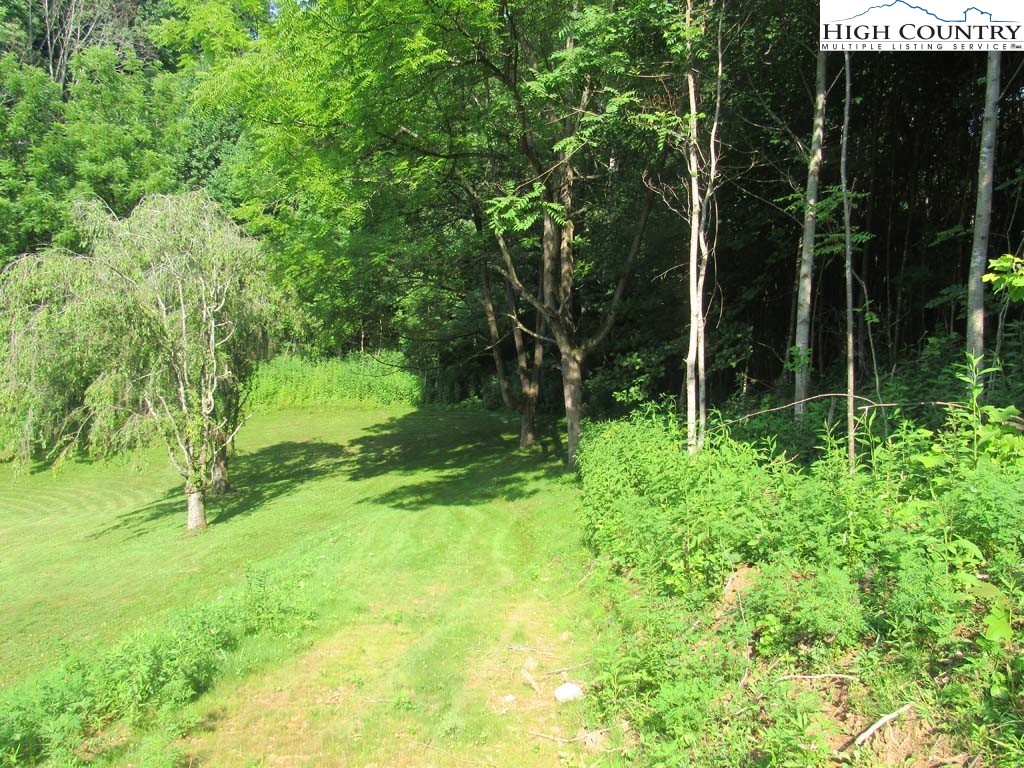 682 Trivette Hollow Road Creston, NC 28615 - Photo 8 of 41 Gallery Image 8