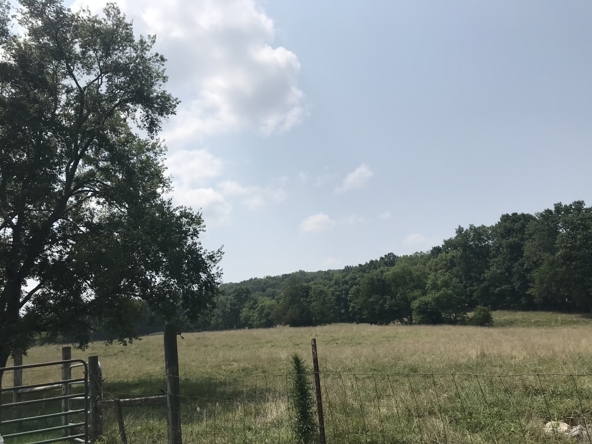 2 Hiwassee Road Lebanon, TN 37087 - Photo 2 of 4 a view of a field with a tree in the background