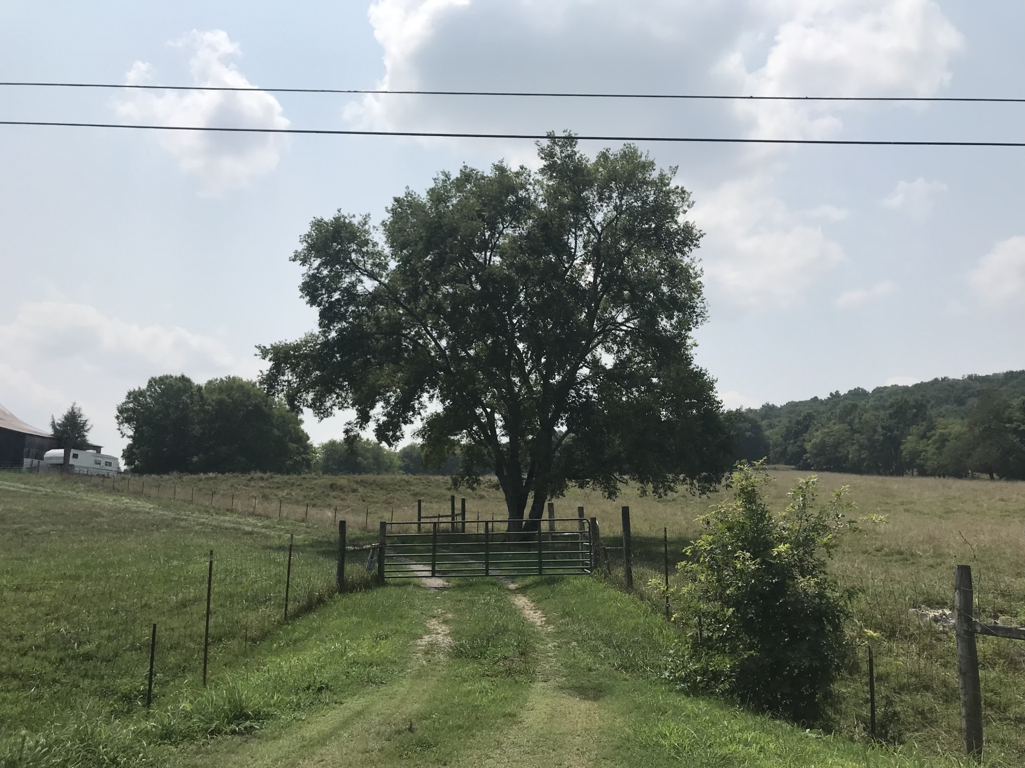 2 Hiwassee Road Lebanon, TN 37087 - Photo 4 of 4 a view of a yard with a tree