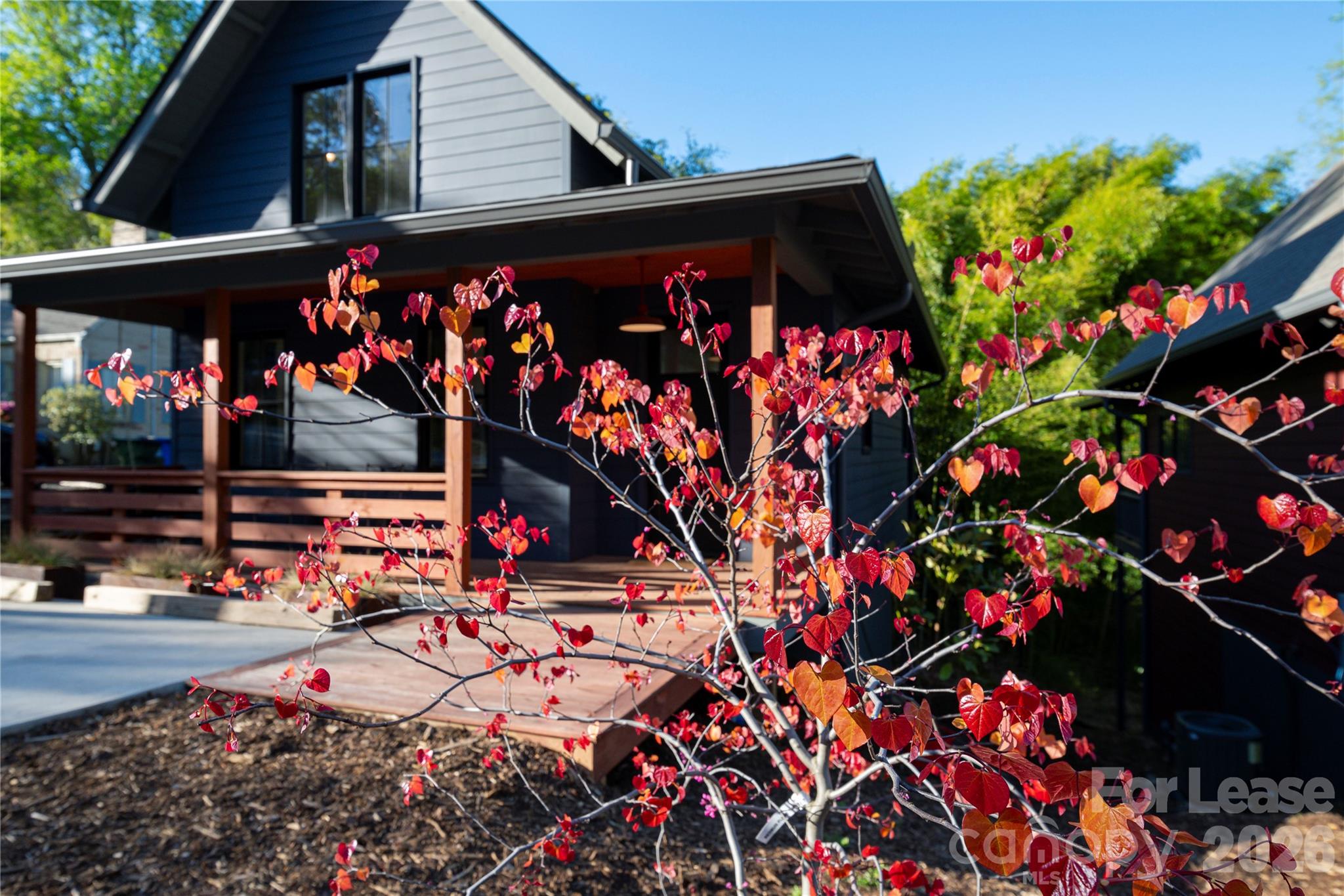 12 Waverly Road Asheville, NC 28803 - Photo 20 of 23