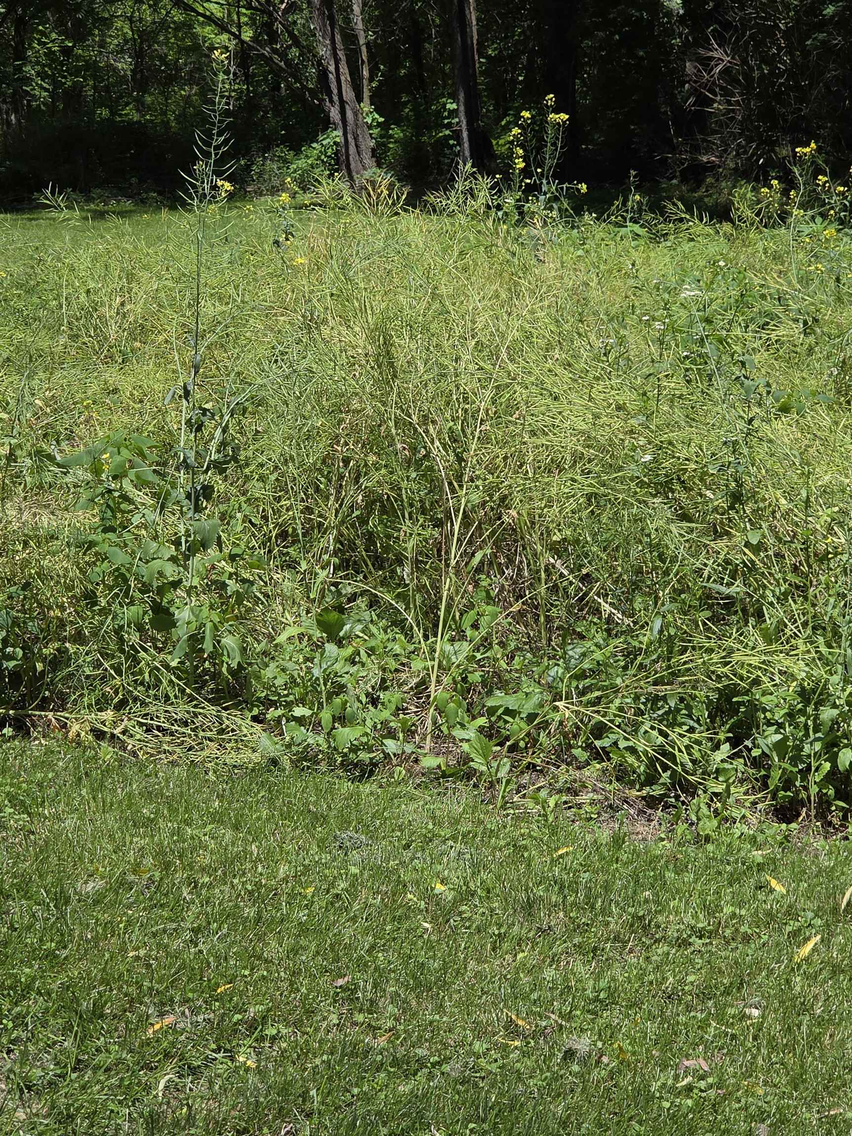 13035 Canyon Falls Road Mount Hope, WI 53816 - Photo 45 of 61
