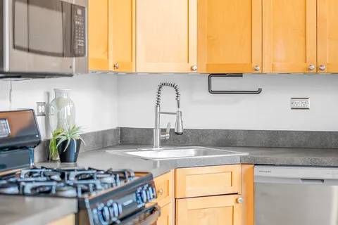$259,900 | 1801 South Michigan Avenue, Unit 402, Chicago, IL 60616