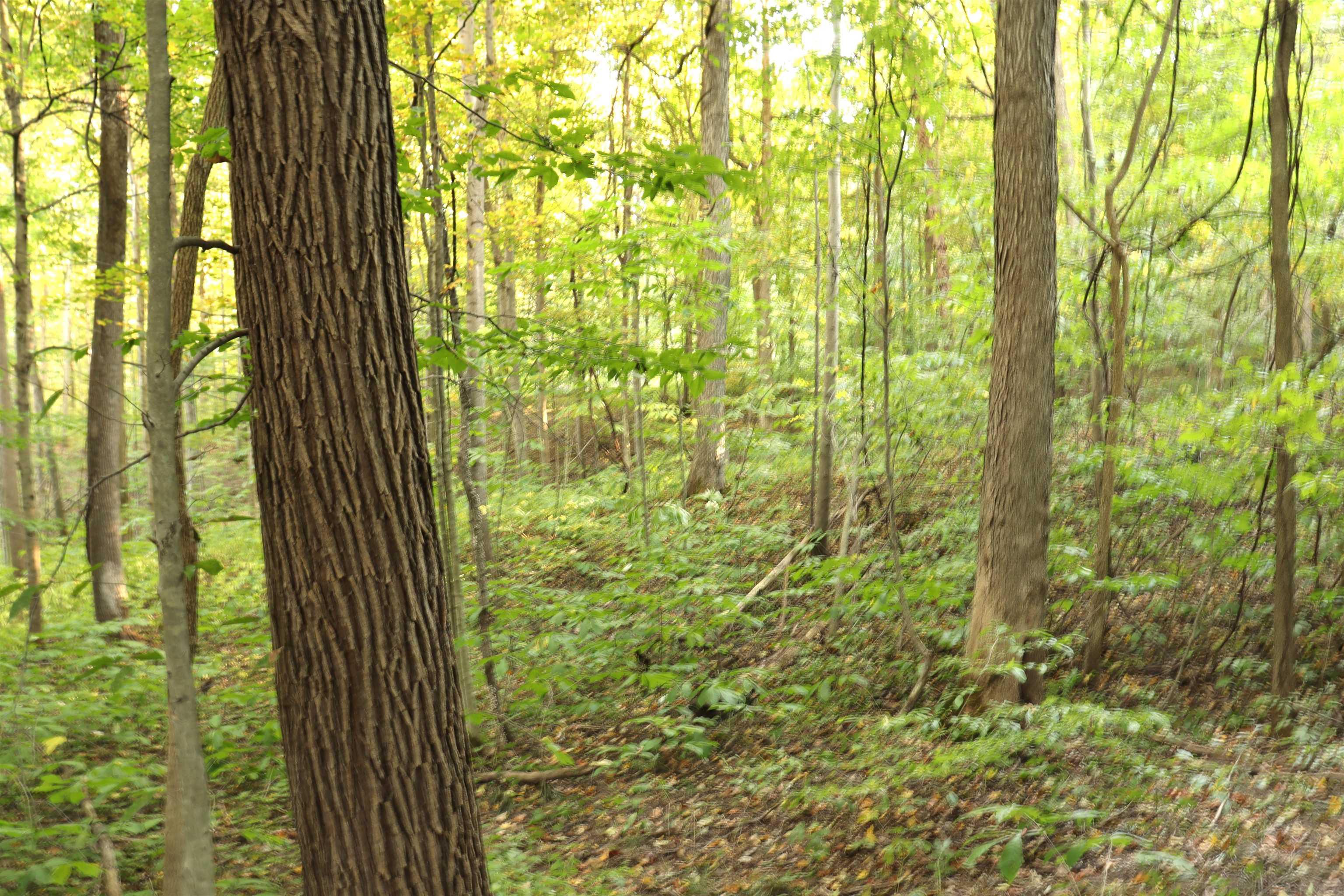 0 Maple Poland, IN 47868 - Photo 11 of 16 Gallery Image 11