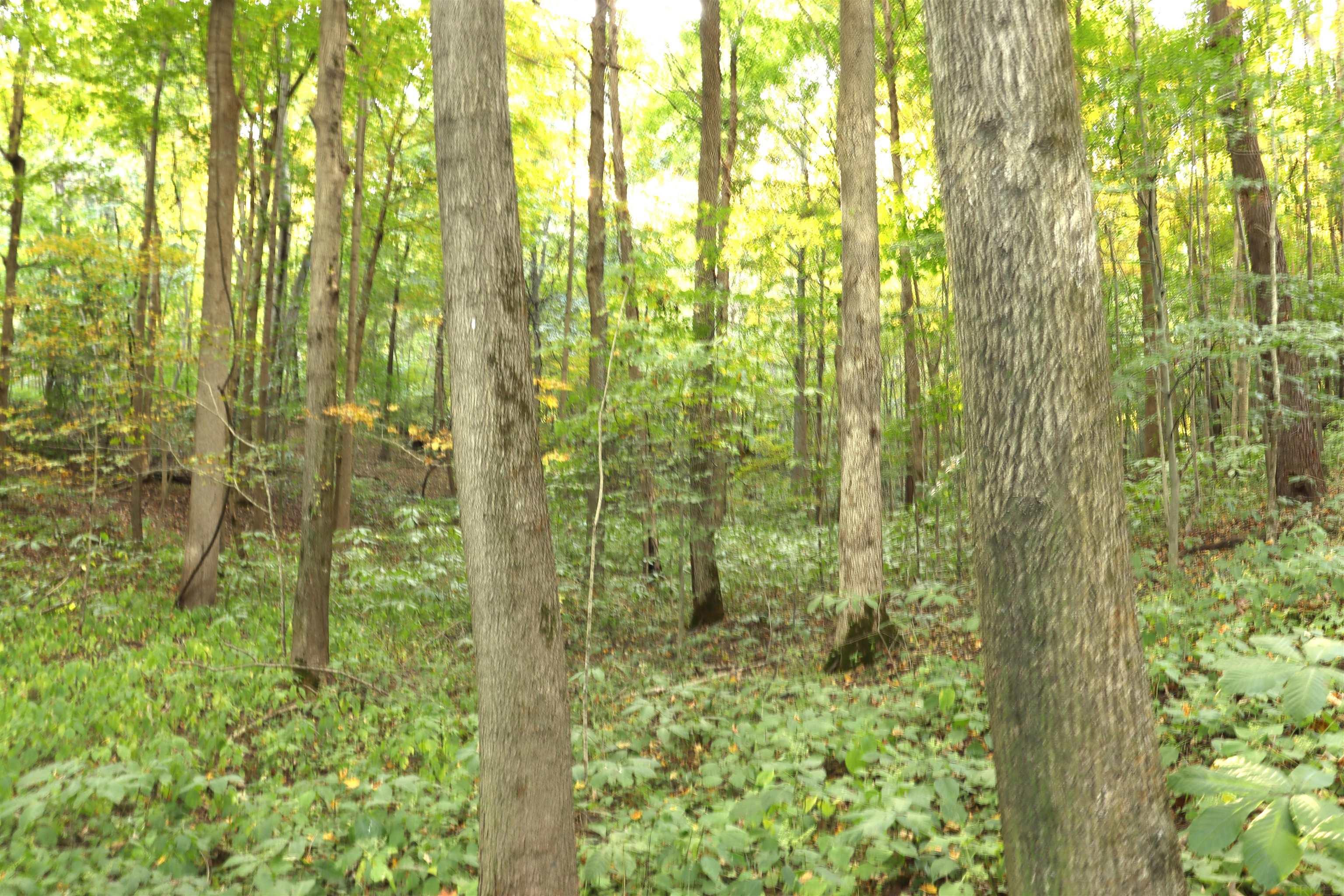 0 Maple Poland, IN 47868 - Photo 12 of 16 Gallery Image 12