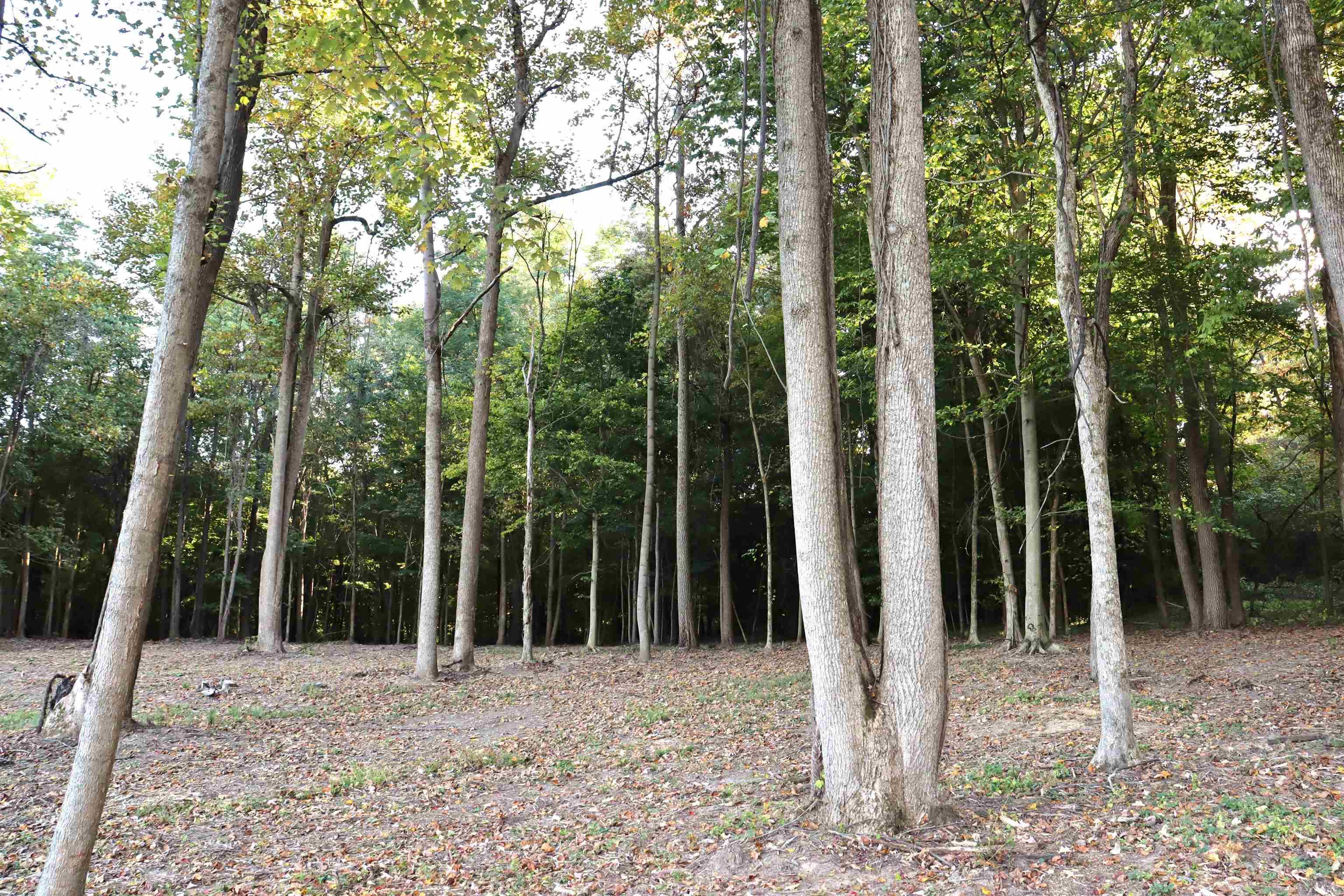 0 Maple Poland, IN 47868 - Photo 10 of 16 Gallery Image 10