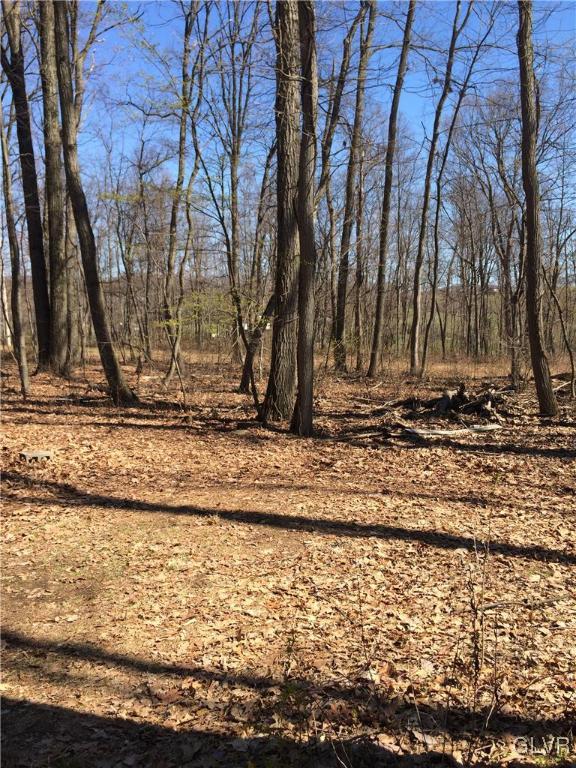 3991 Blacksmith Road New Tripoli, PA 18066 - Photo 18 of 22 Gallery Image 18