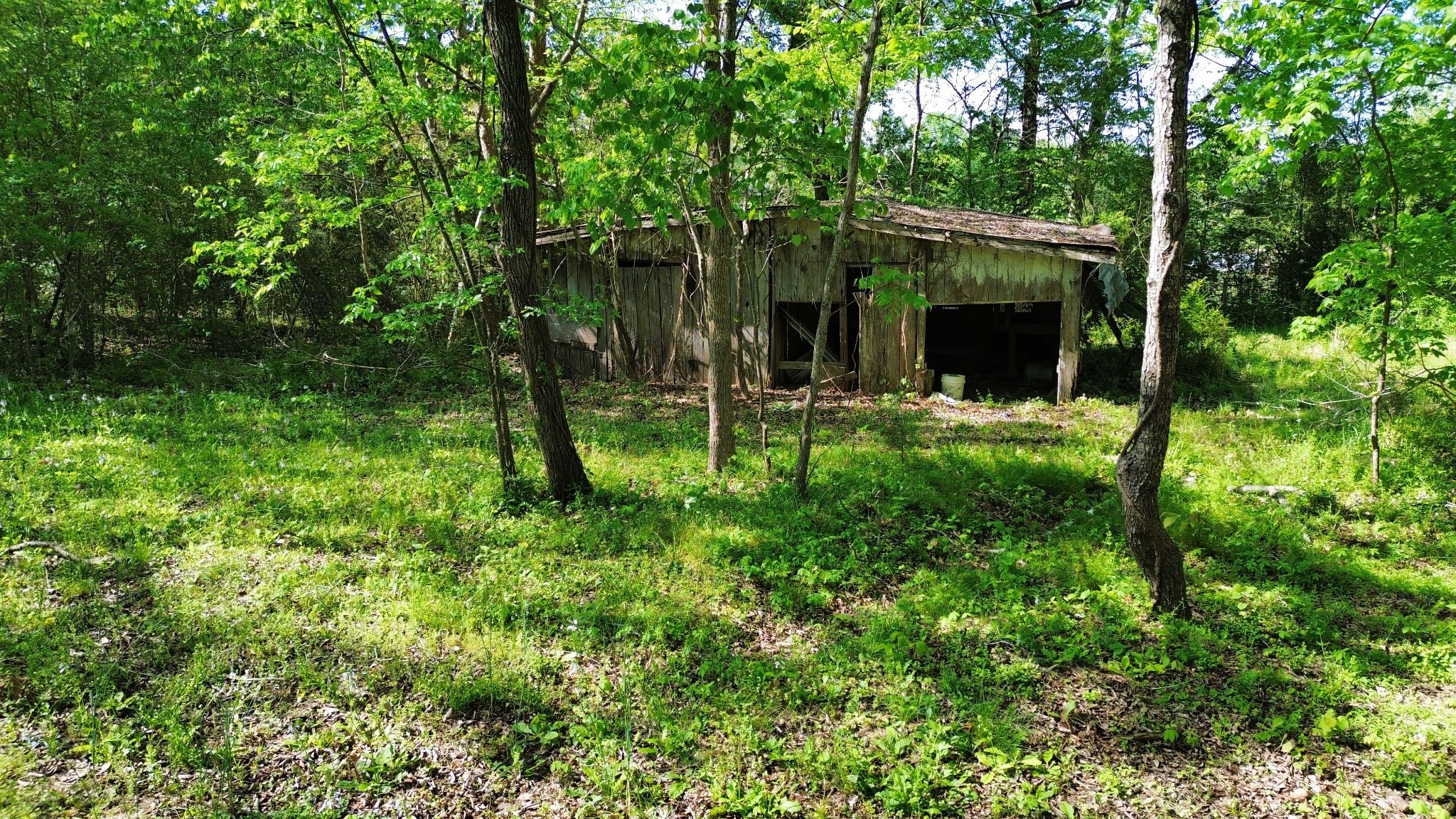 3321 Petway Road Ashland City, TN 37015 - Photo 1 of 23 a backyard of a house with plants and large trees
