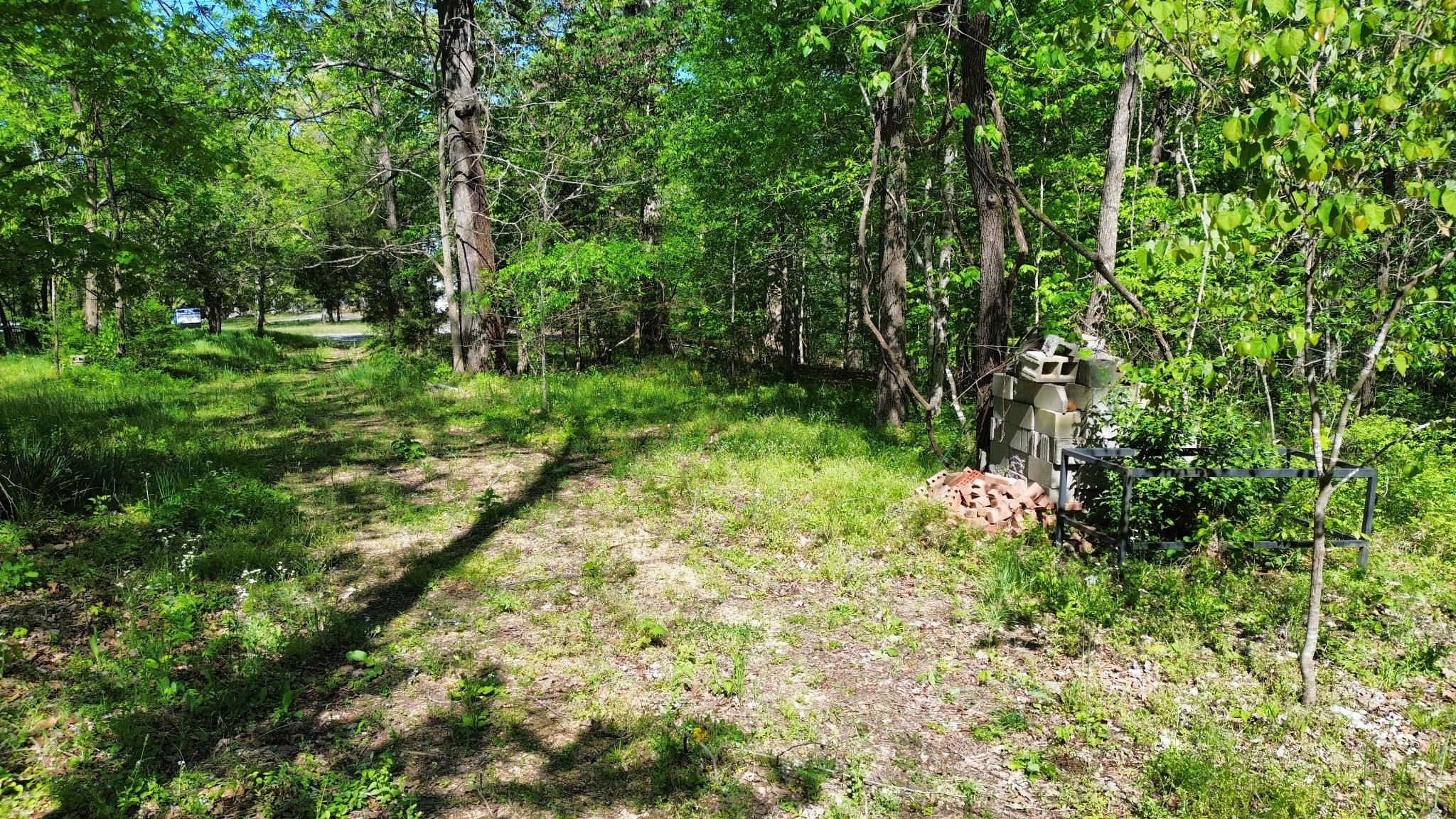 3321 Petway Road Ashland City, TN 37015 - Photo 12 of 23 a view of outdoor space and green space