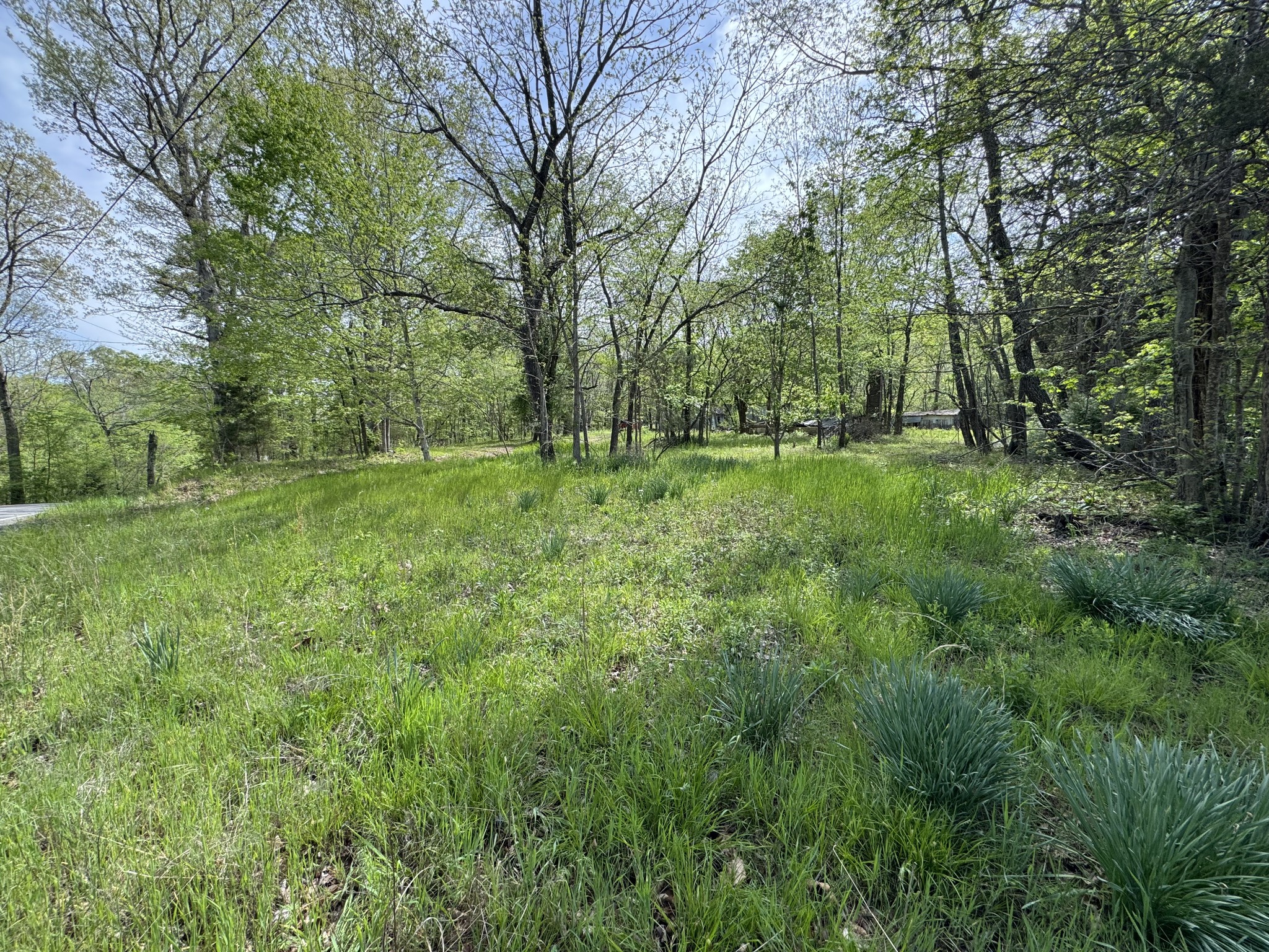 3321 Petway Road Ashland City, TN 37015 - Photo 13 of 23 a view of a lush green space