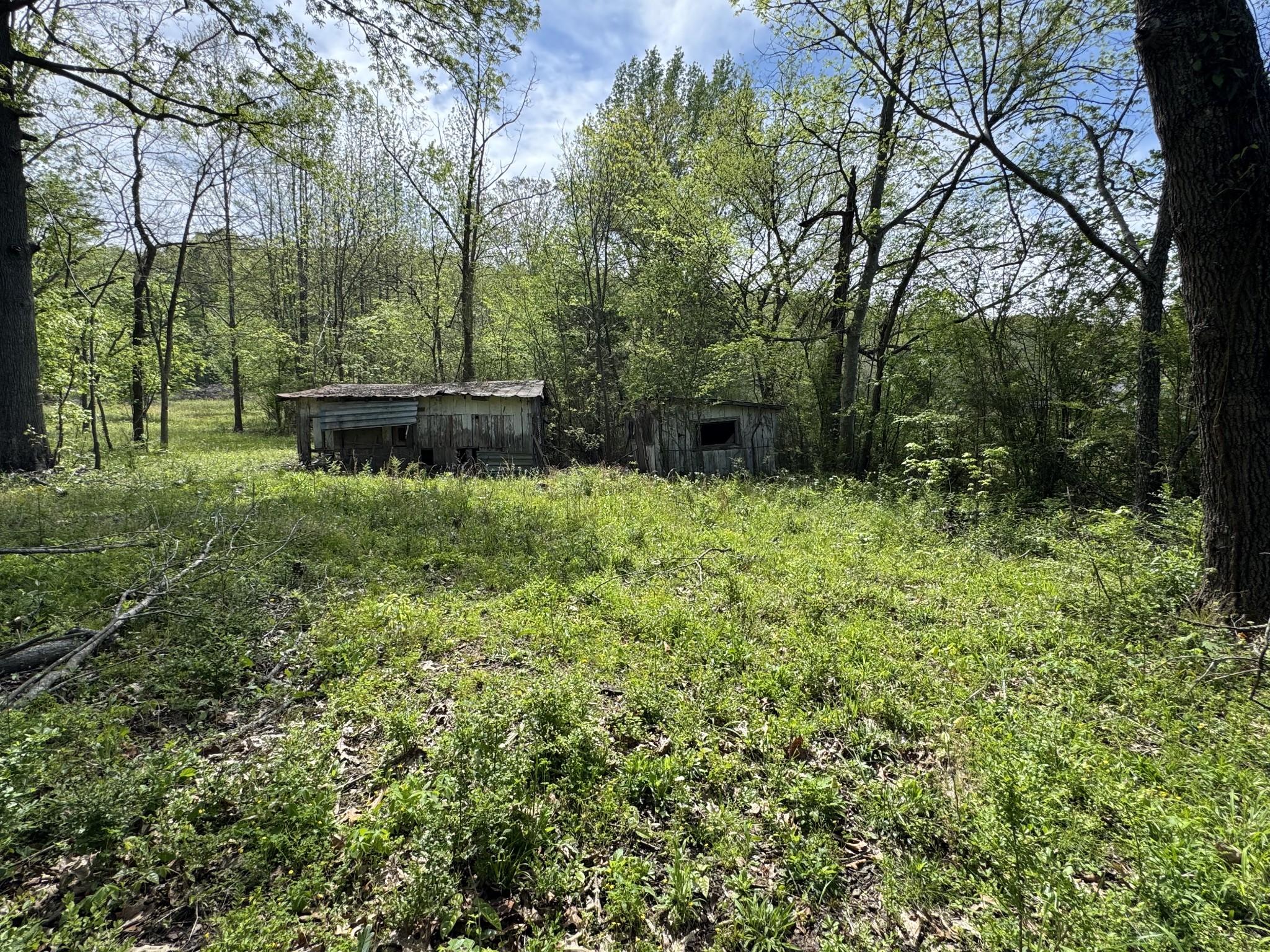 3321 Petway Road Ashland City, TN 37015 - Photo 14 of 23 a backyard of a house with lots of green space