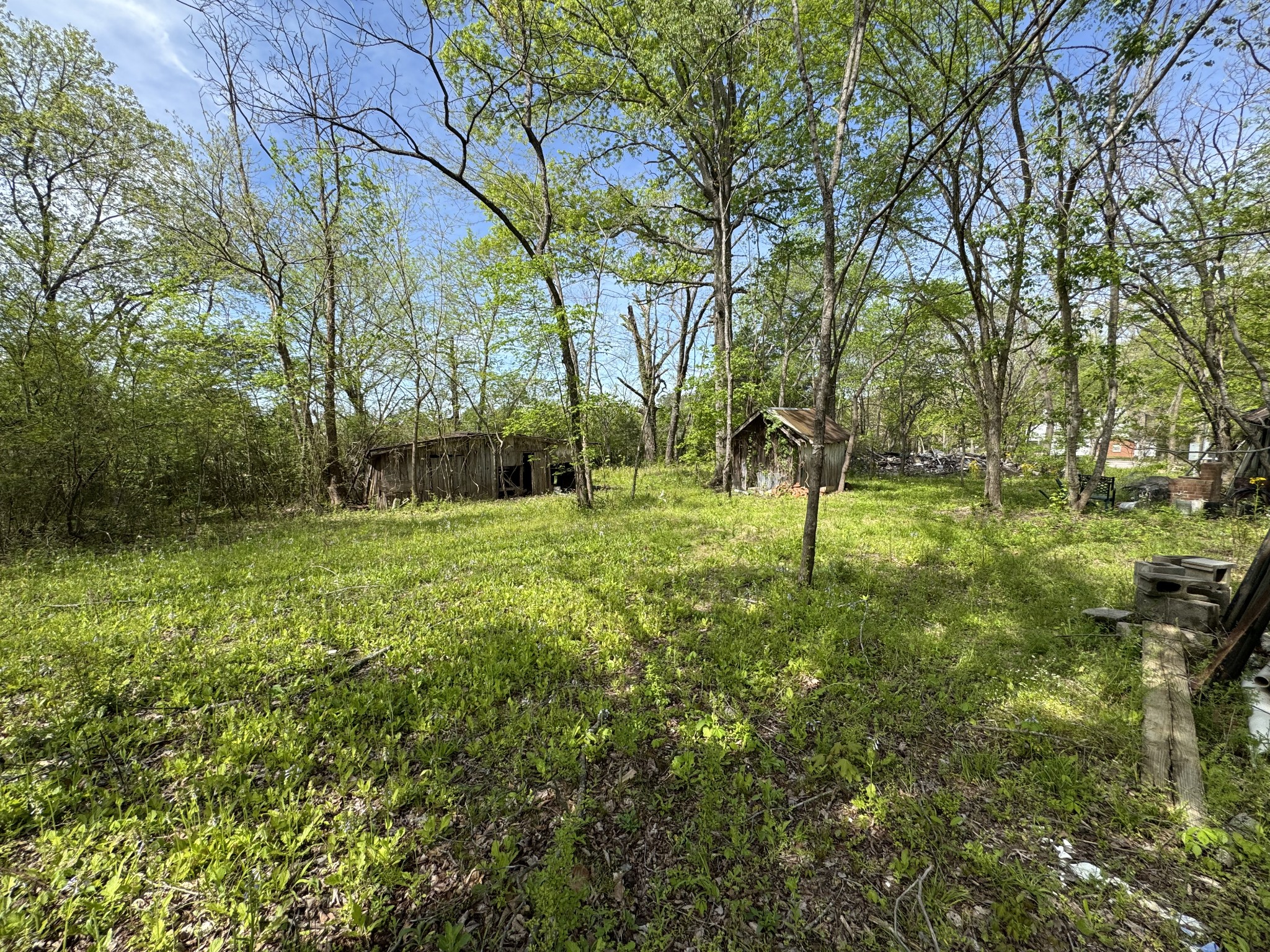 3321 Petway Road Ashland City, TN 37015 - Photo 16 of 23 a view of a park with large trees
