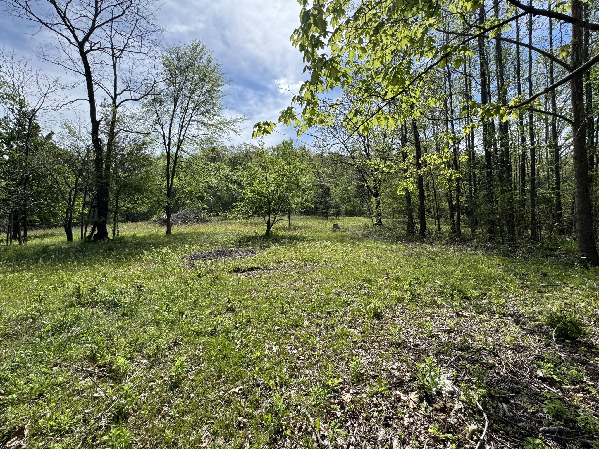 3321 Petway Road Ashland City, TN 37015 - Photo 17 of 23 a big yard with lots of green space and fountain