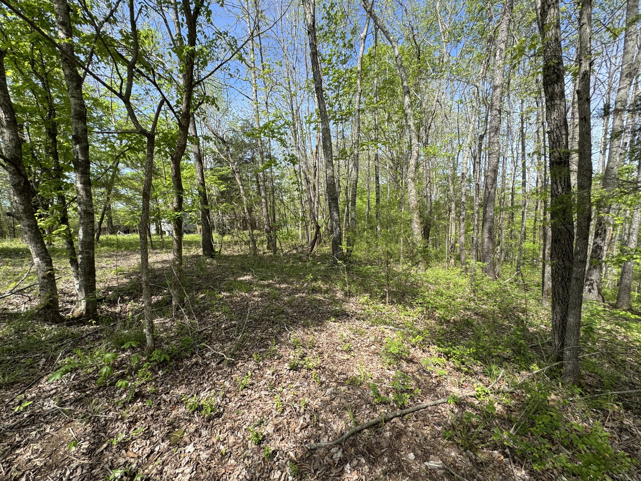 3321 Petway Road Ashland City, TN 37015 - Photo 18 of 23 a view of outdoor space and trees