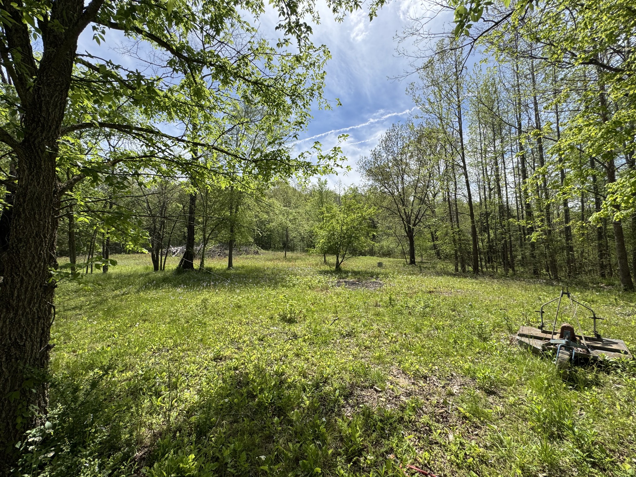 3321 Petway Road Ashland City, TN 37015 - Photo 22 of 23 a view of a park with large trees