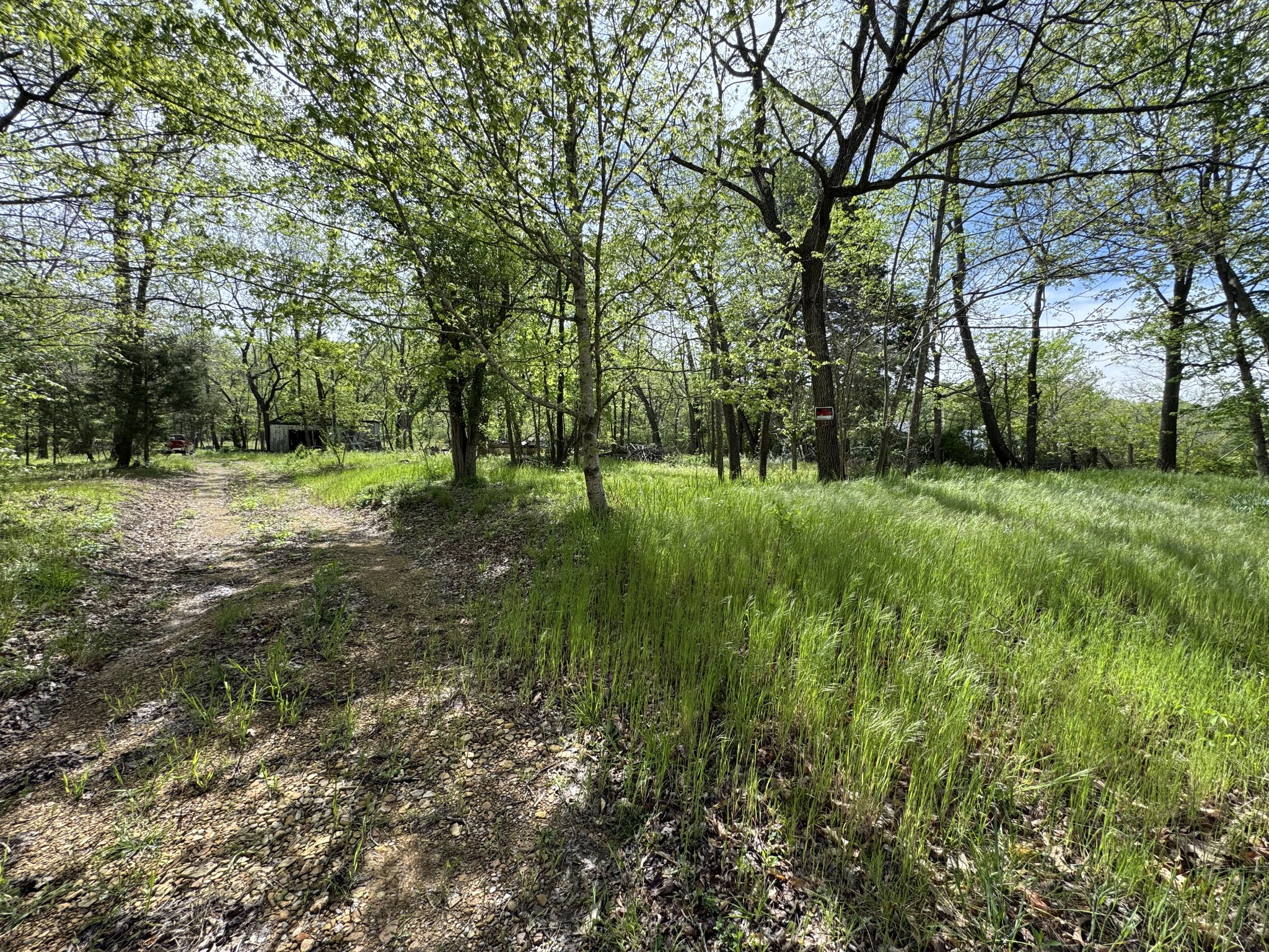 3321 Petway Road Ashland City, TN 37015 - Photo 3 of 23 a big yard with lots of green space and deers