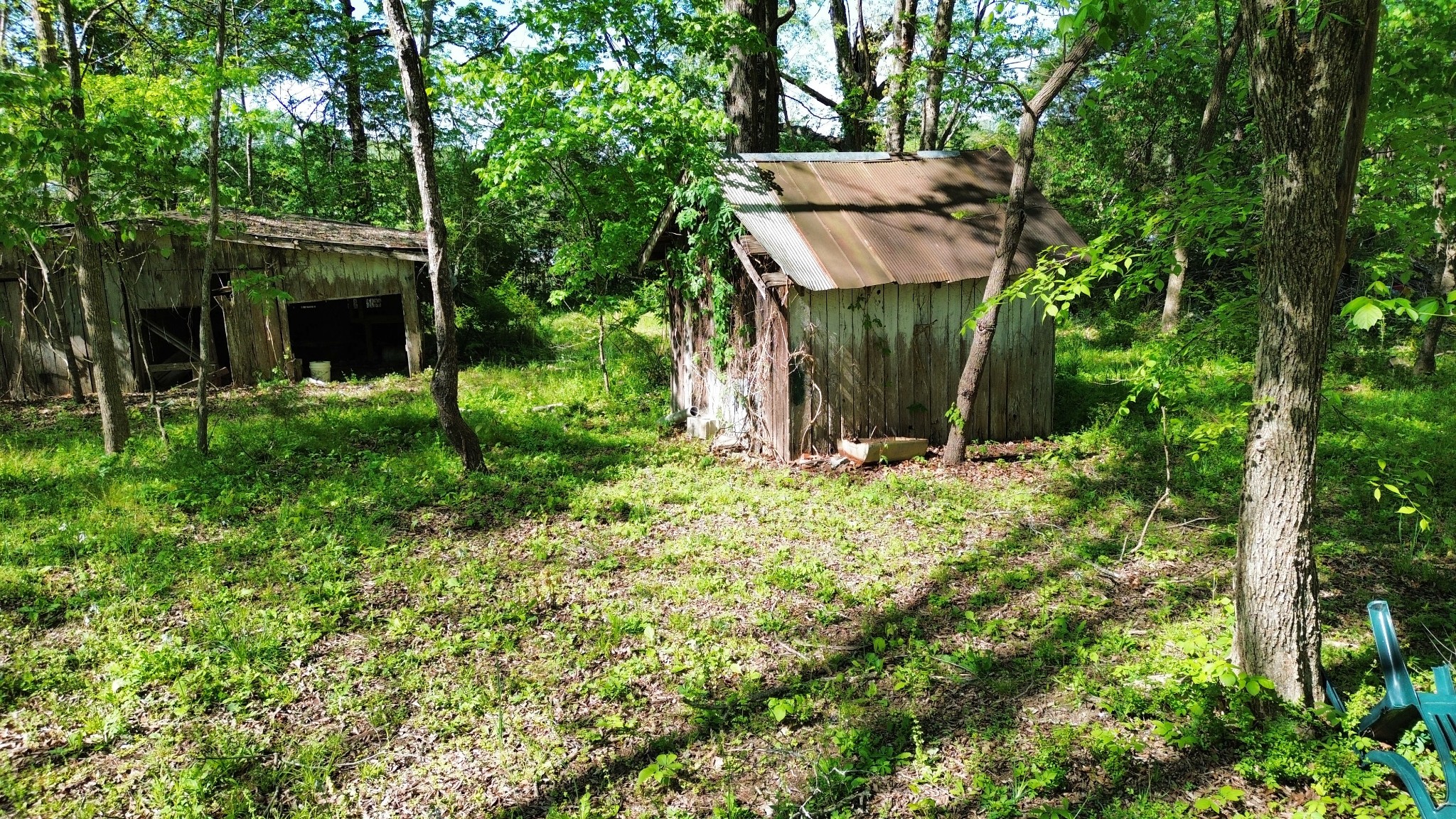 3321 Petway Road Ashland City, TN 37015 - Photo 5 of 23 a view of a garden