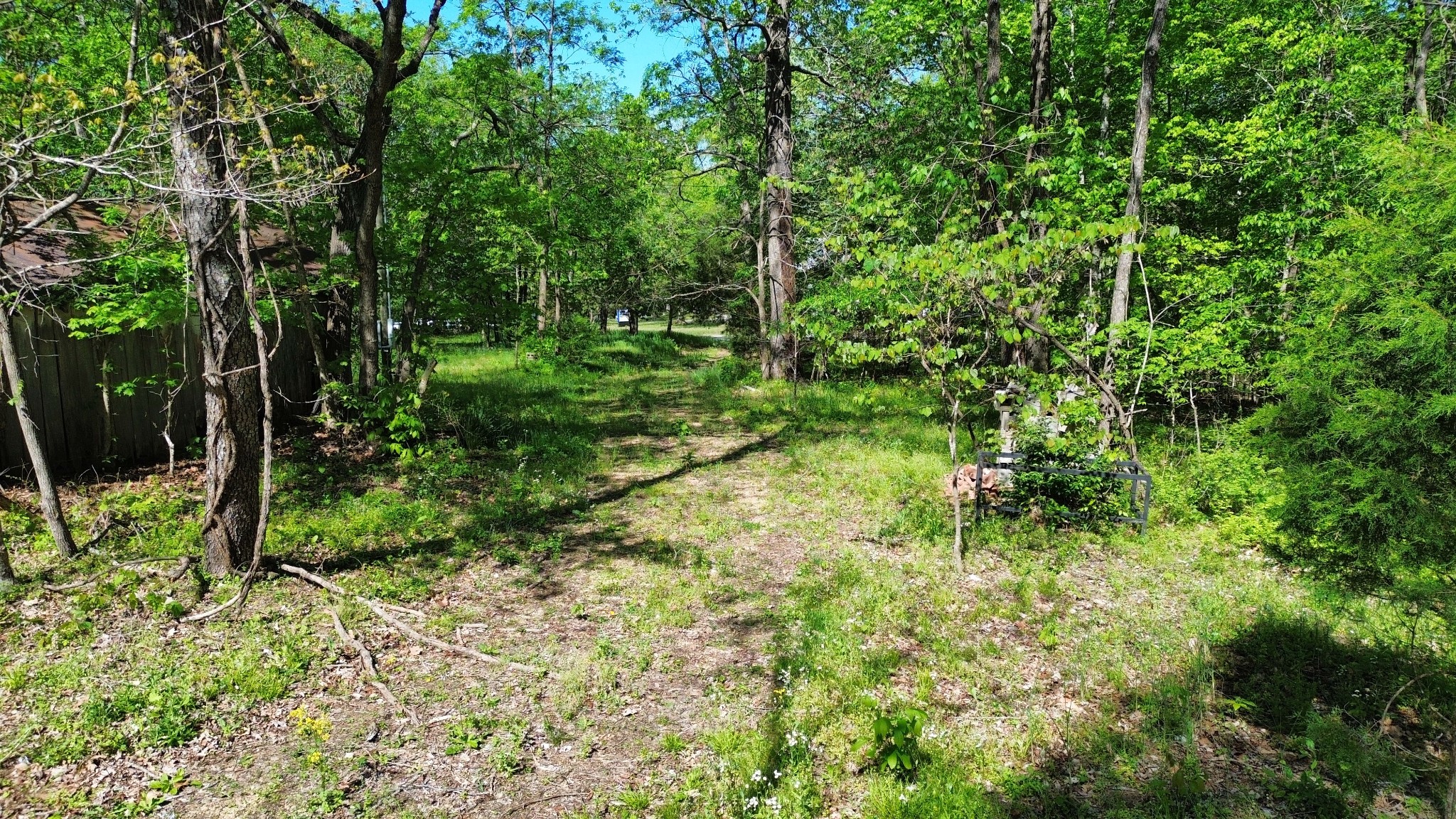 3321 Petway Road Ashland City, TN 37015 - Photo 6 of 23 a view of yard