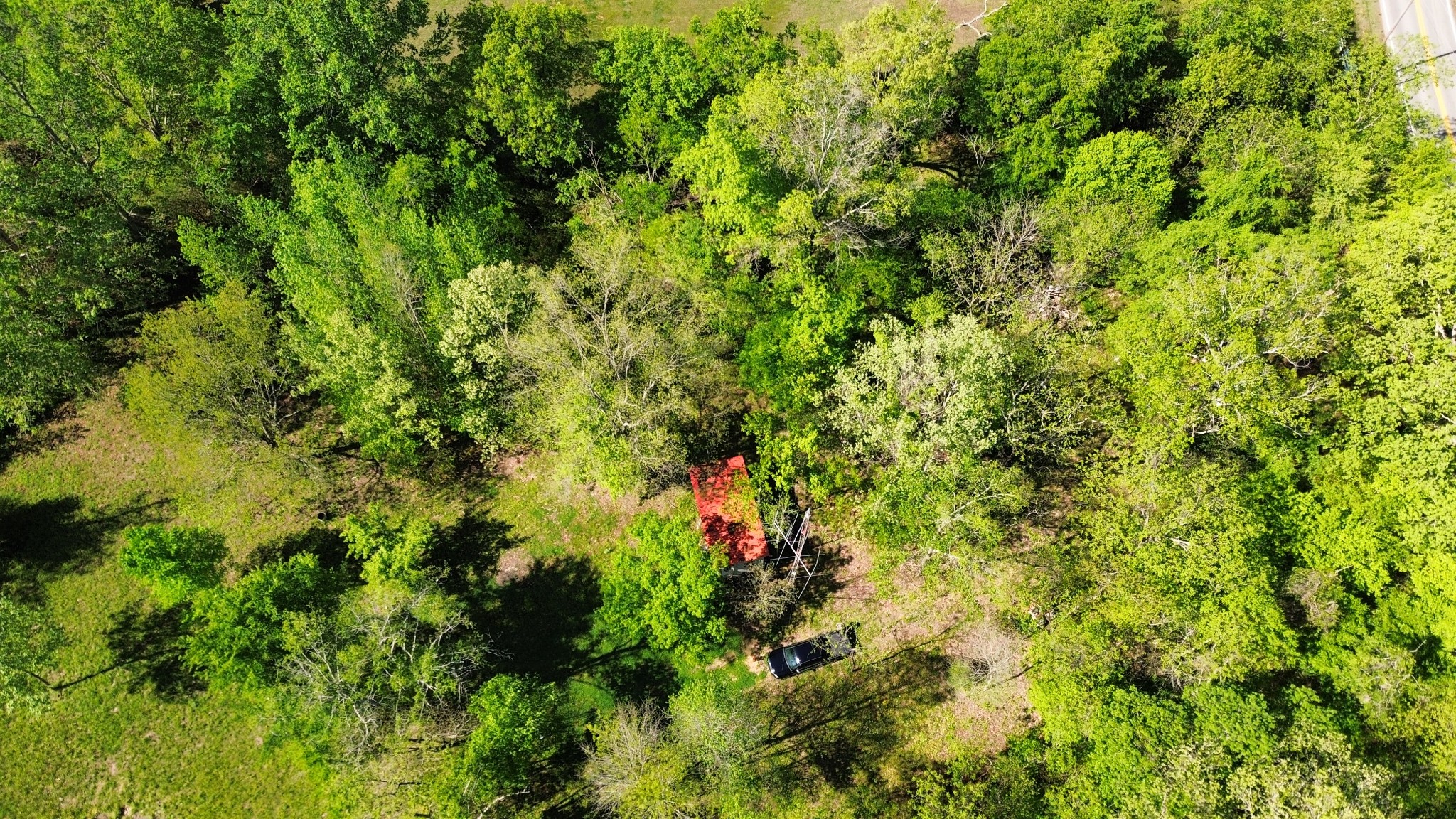 3321 Petway Road Ashland City, TN 37015 - Photo 7 of 23 a view of a lush green forest