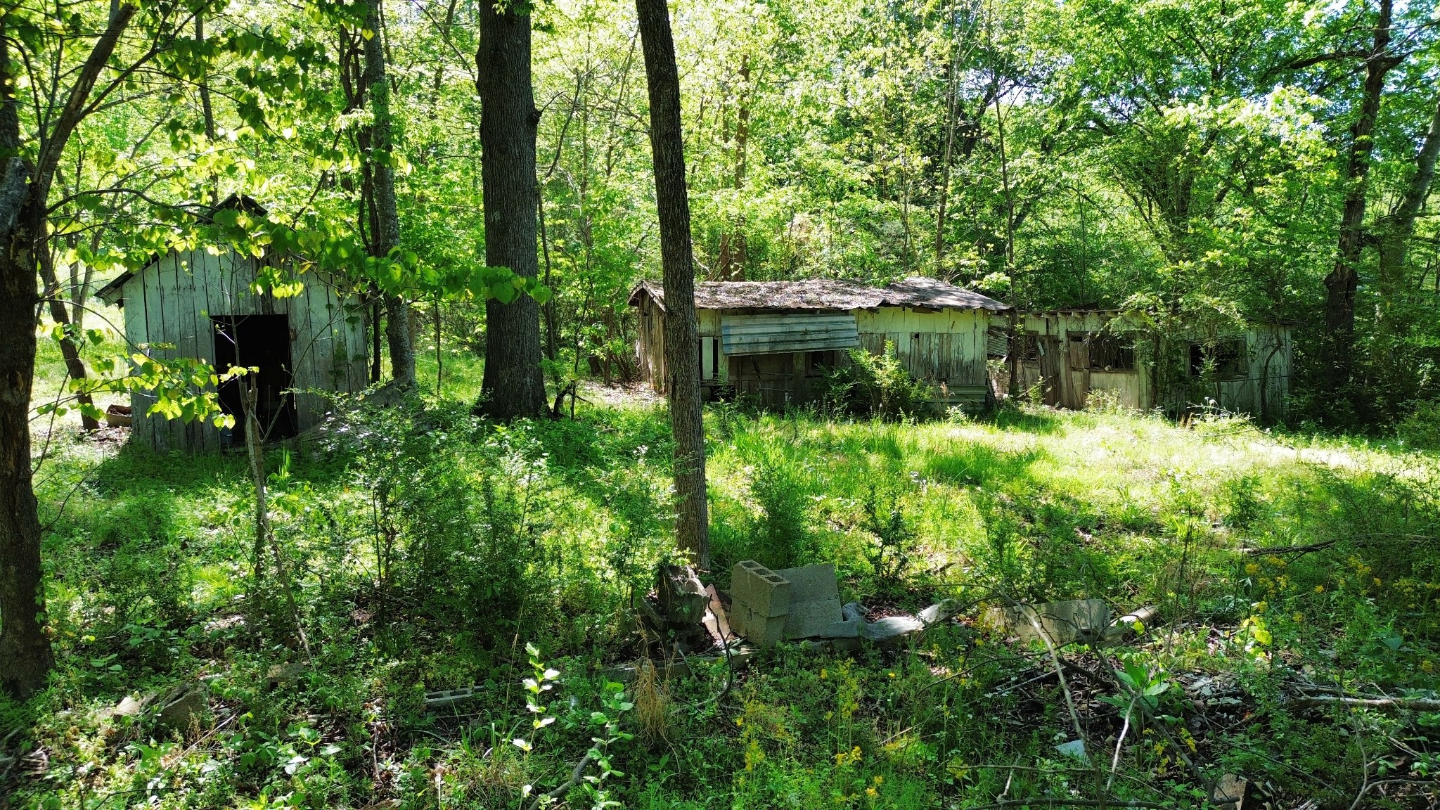 3321 Petway Road Ashland City, TN 37015 - Photo 8 of 23 a view of backyard with green space