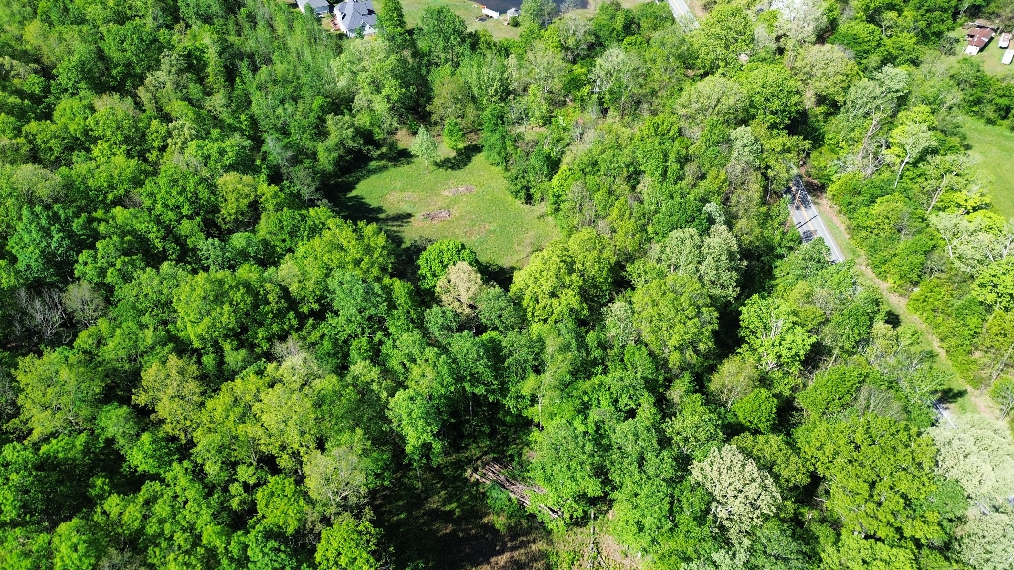 3321 Petway Road Ashland City, TN 37015 - Photo 9 of 23 a view of a lush green space