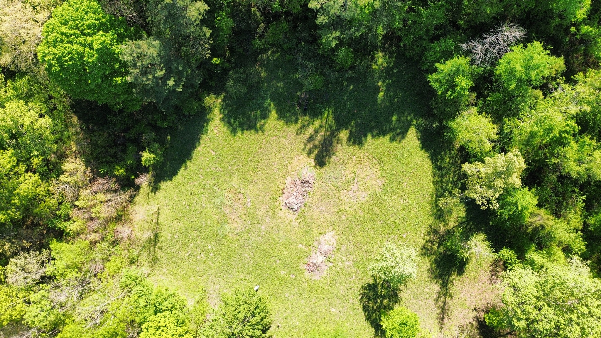 3321 Petway Road Ashland City, TN 37015 - Photo 10 of 23 a view of a garden