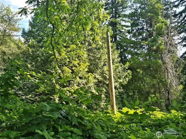 a view of a street with a tree
