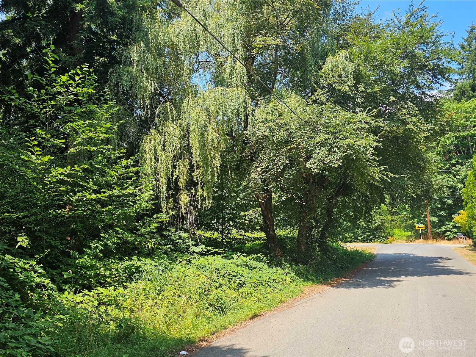 14416 339th Avenue Southeast Gold Bar, WA 98251 - Photo 13 of 13 a view of a street with a tree