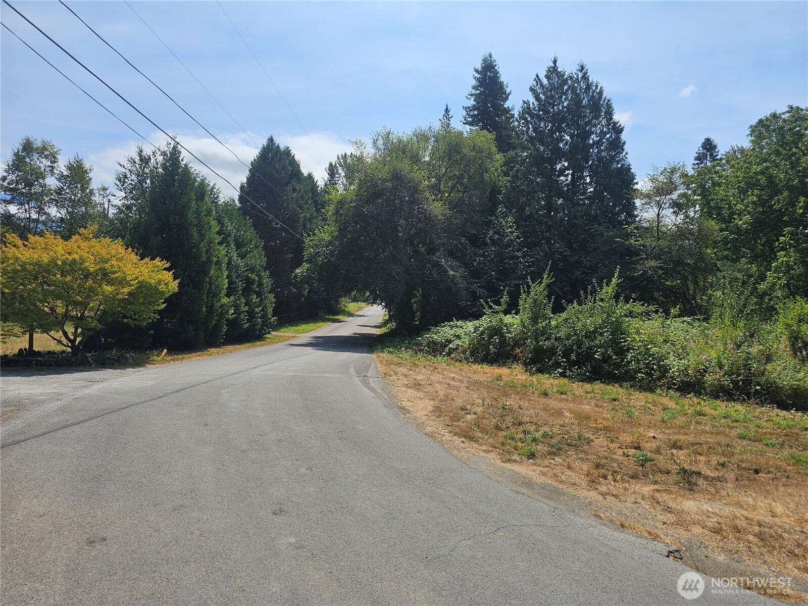 14416 339th Avenue Southeast Gold Bar, WA 98251 - Photo 3 of 13 a view of a street with a trees