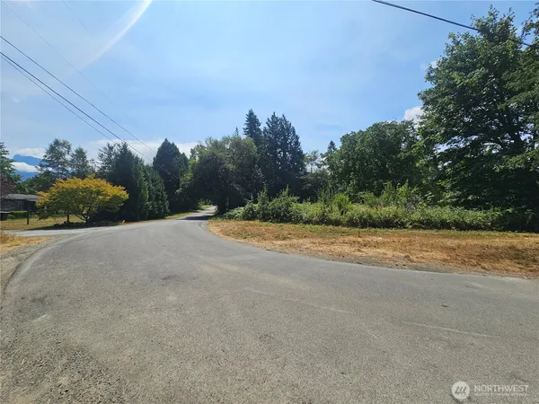 a view of a rural road with plants
