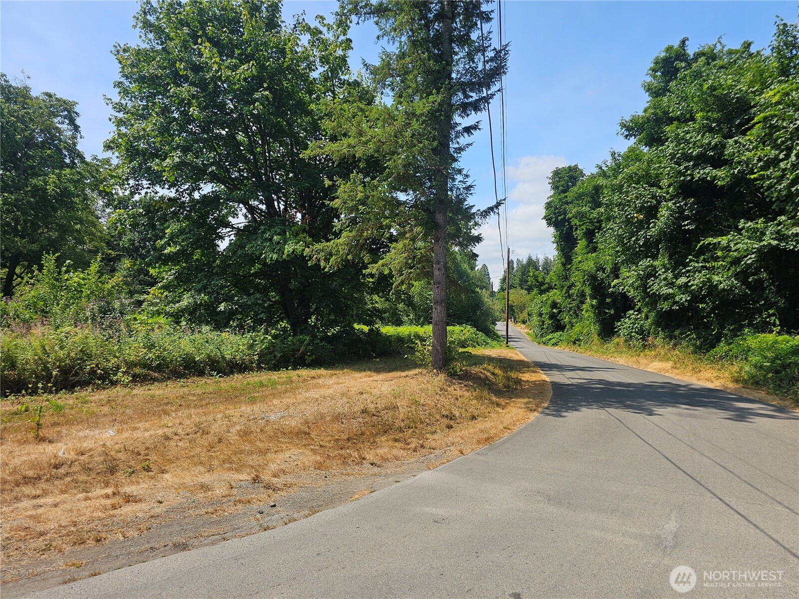 14416 339th Avenue Southeast Gold Bar, WA 98251 - Photo 5 of 13 a wooden bench with view of trees
