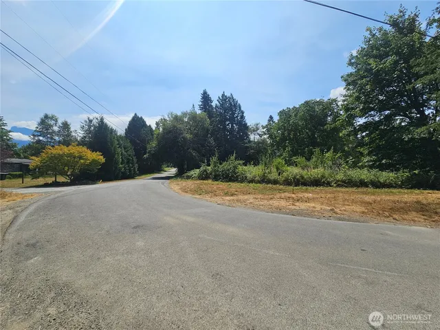 a view of a rural road with plants