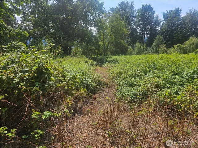 a view of outdoor space and trees