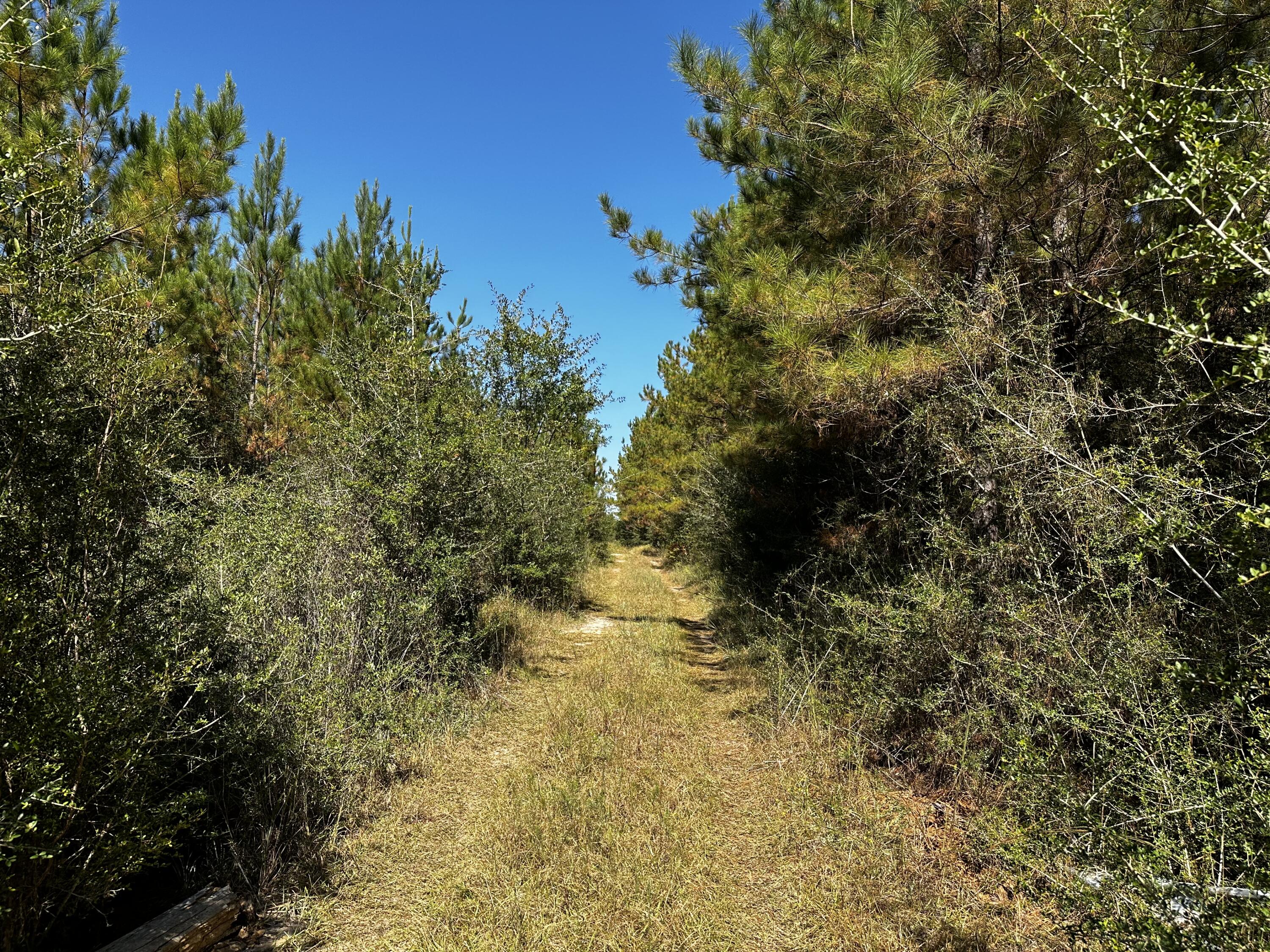 D2 Walther Road Milton, FL 32570 - Photo 2 of 8 IMG_5774
