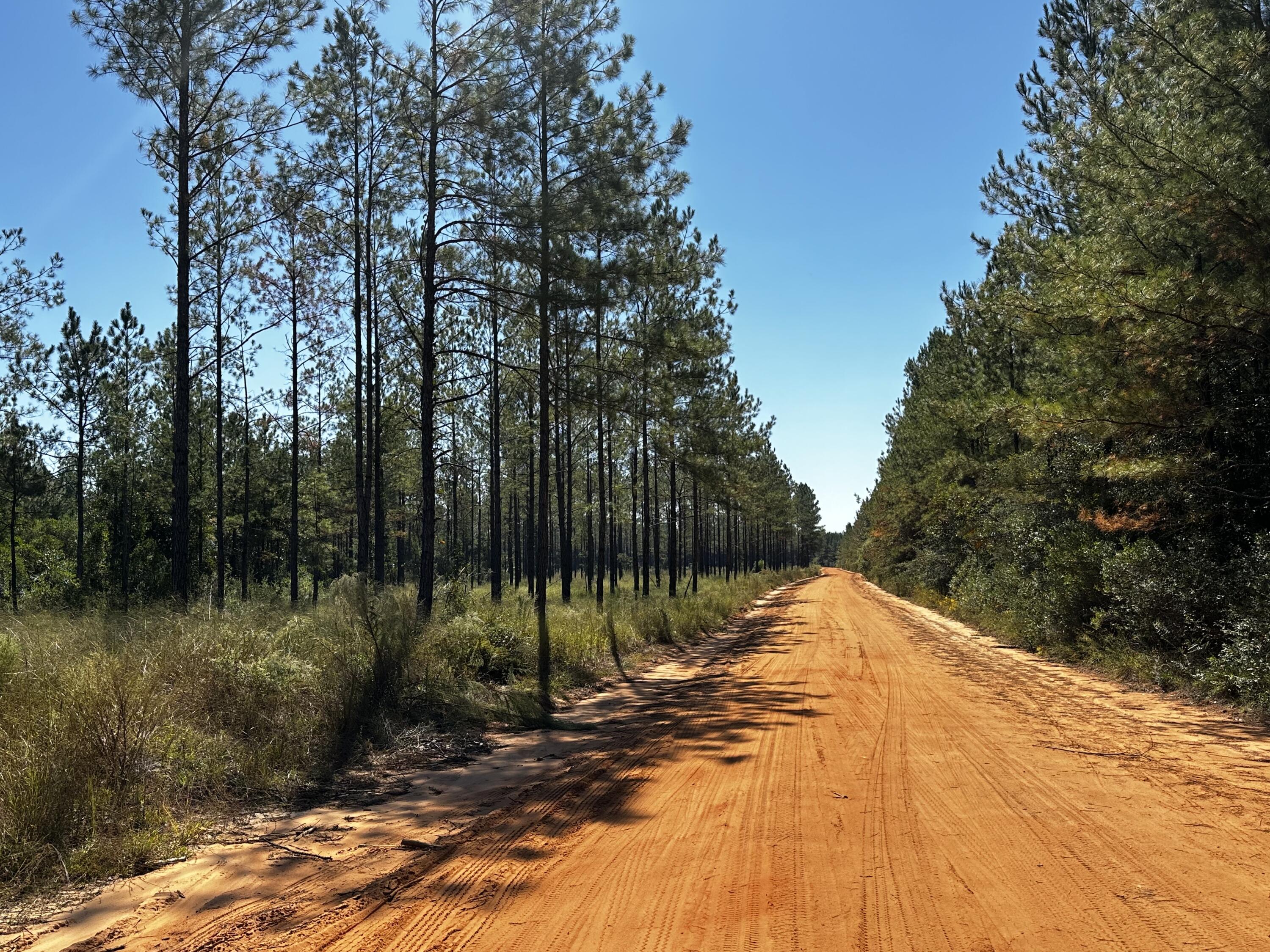 D2 Walther Road Milton, FL 32570 - Photo 3 of 8 IMG_5779