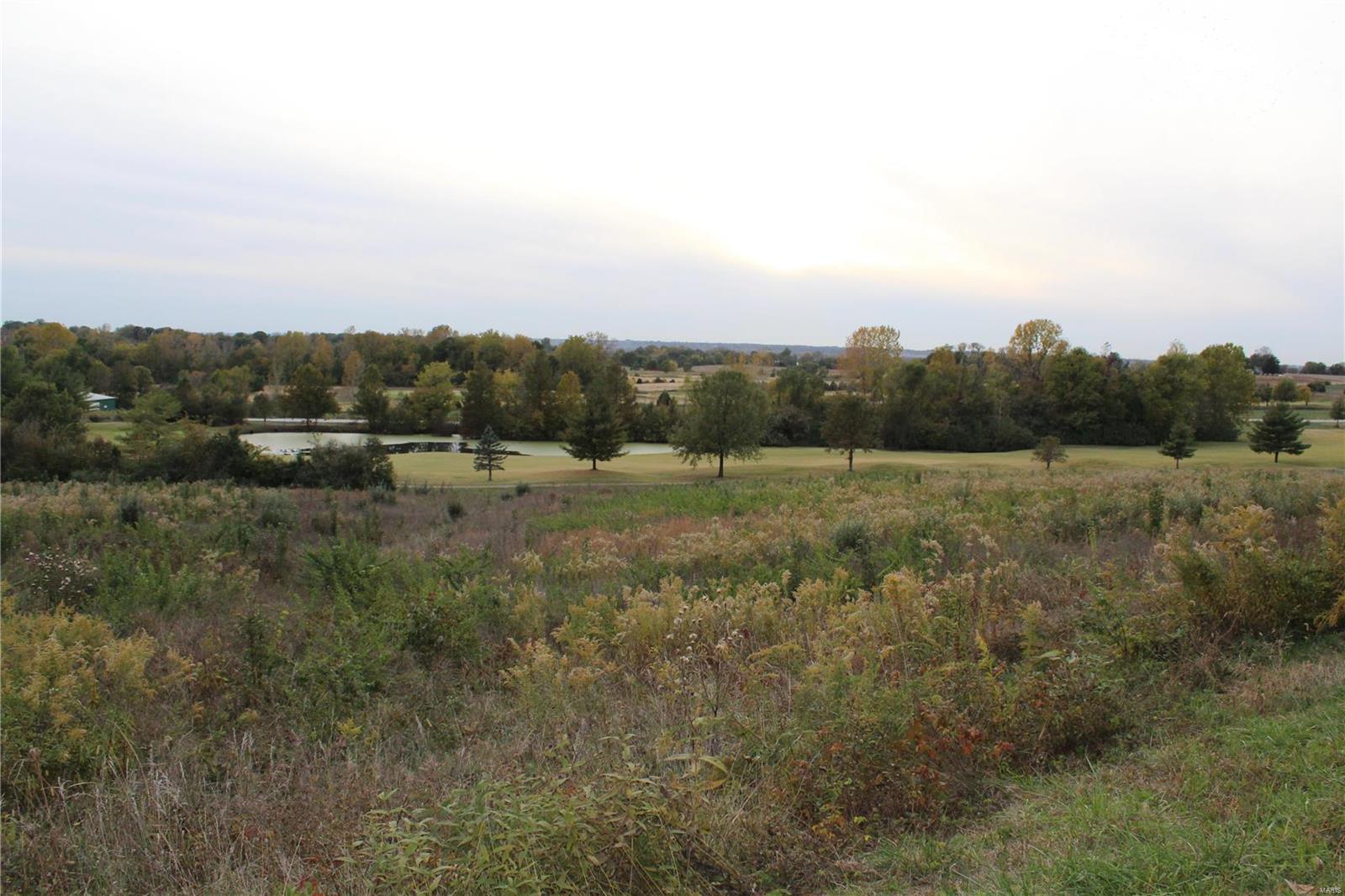 0 Mule Road Columbia, IL 62236 - Photo 11 of 15 Gallery Image 11