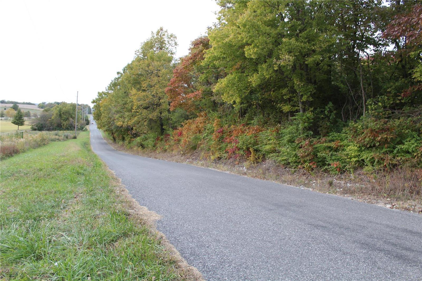 0 Mule Road Columbia, IL 62236 - Photo 12 of 15 Gallery Image 12