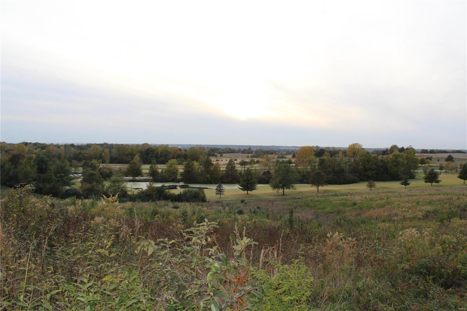 0 Mule Road Columbia, IL 62236 - Photo 14 of 15 Gallery Image 14