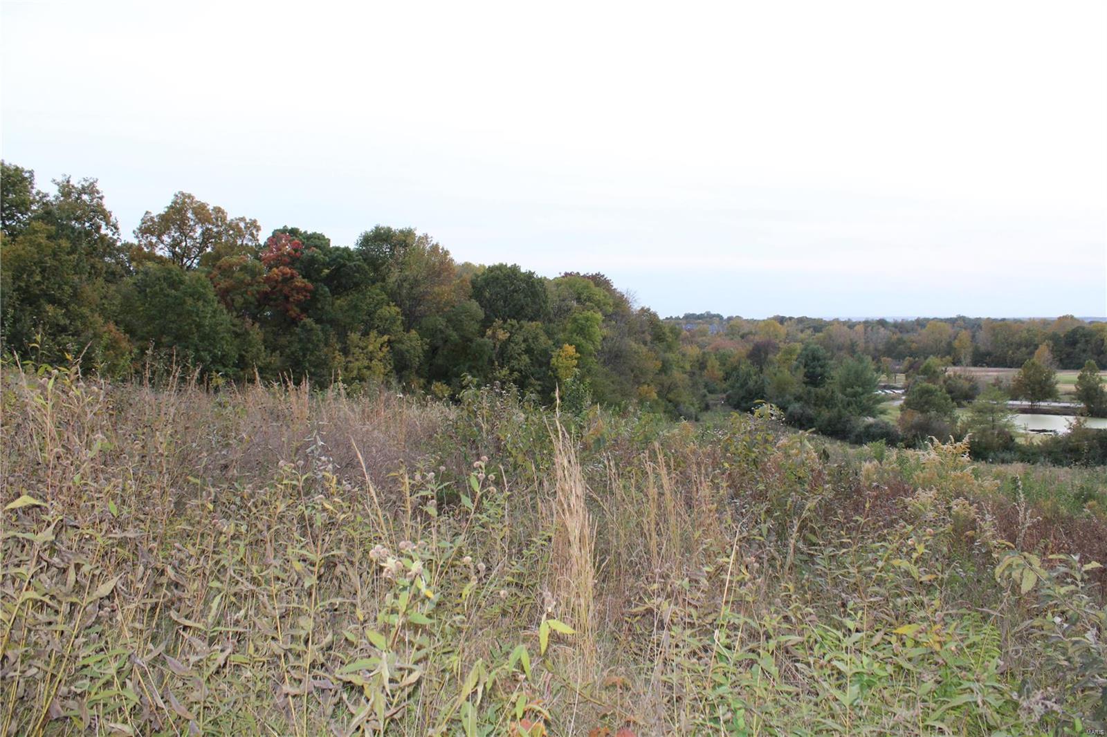 0 Mule Road Columbia, IL 62236 - Photo 15 of 15 Gallery Image 15