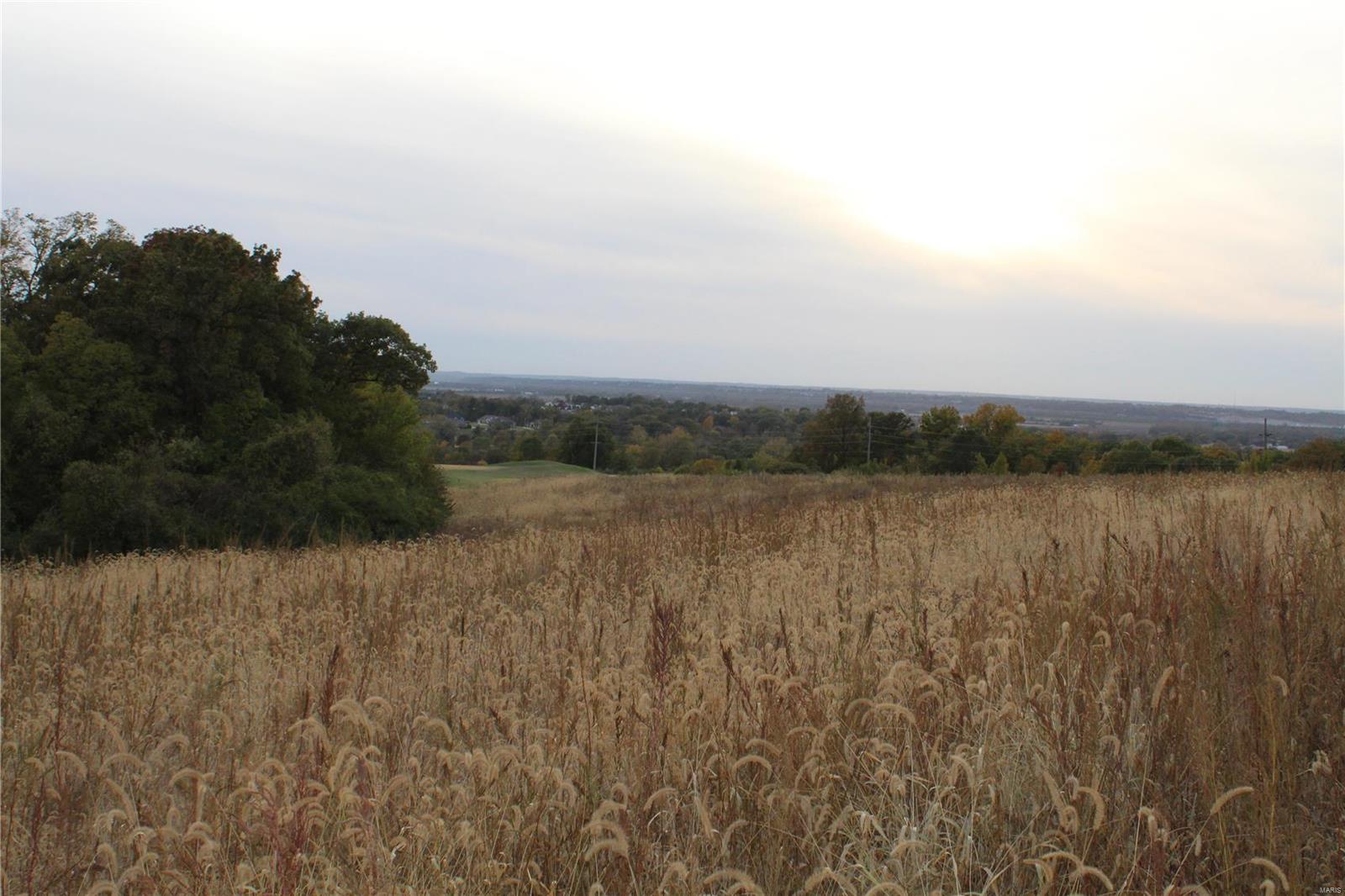0 Mule Road Columbia, IL 62236 - Photo 6 of 15 Gallery Image 6