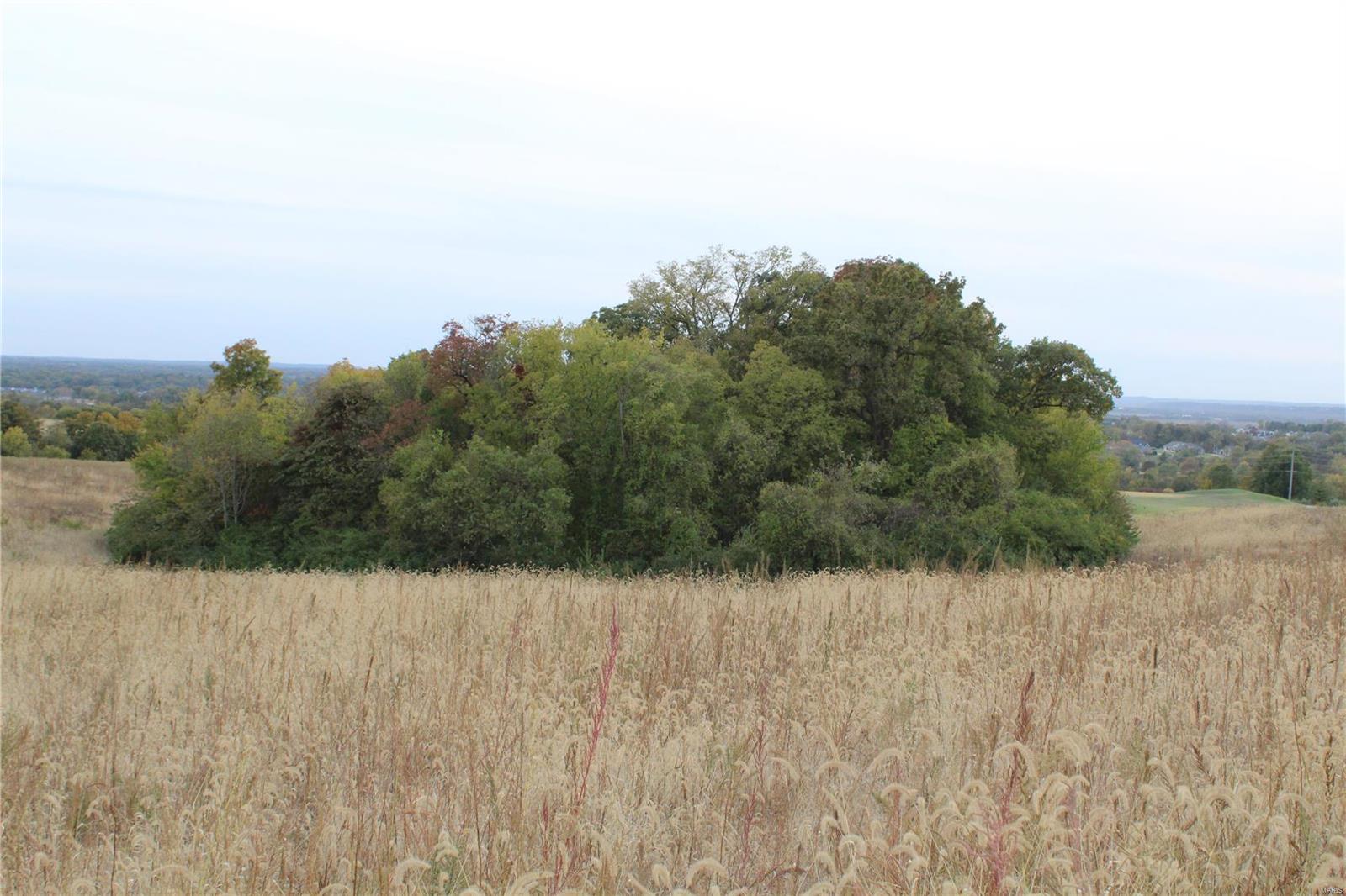 0 Mule Road Columbia, IL 62236 - Photo 8 of 15 Gallery Image 8